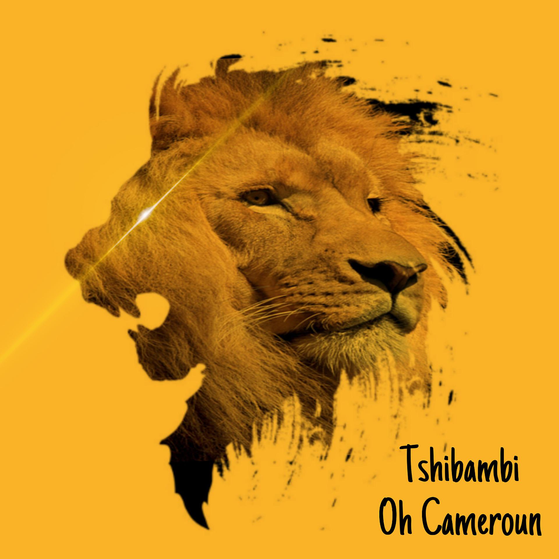 Постер альбома Oh cameroun