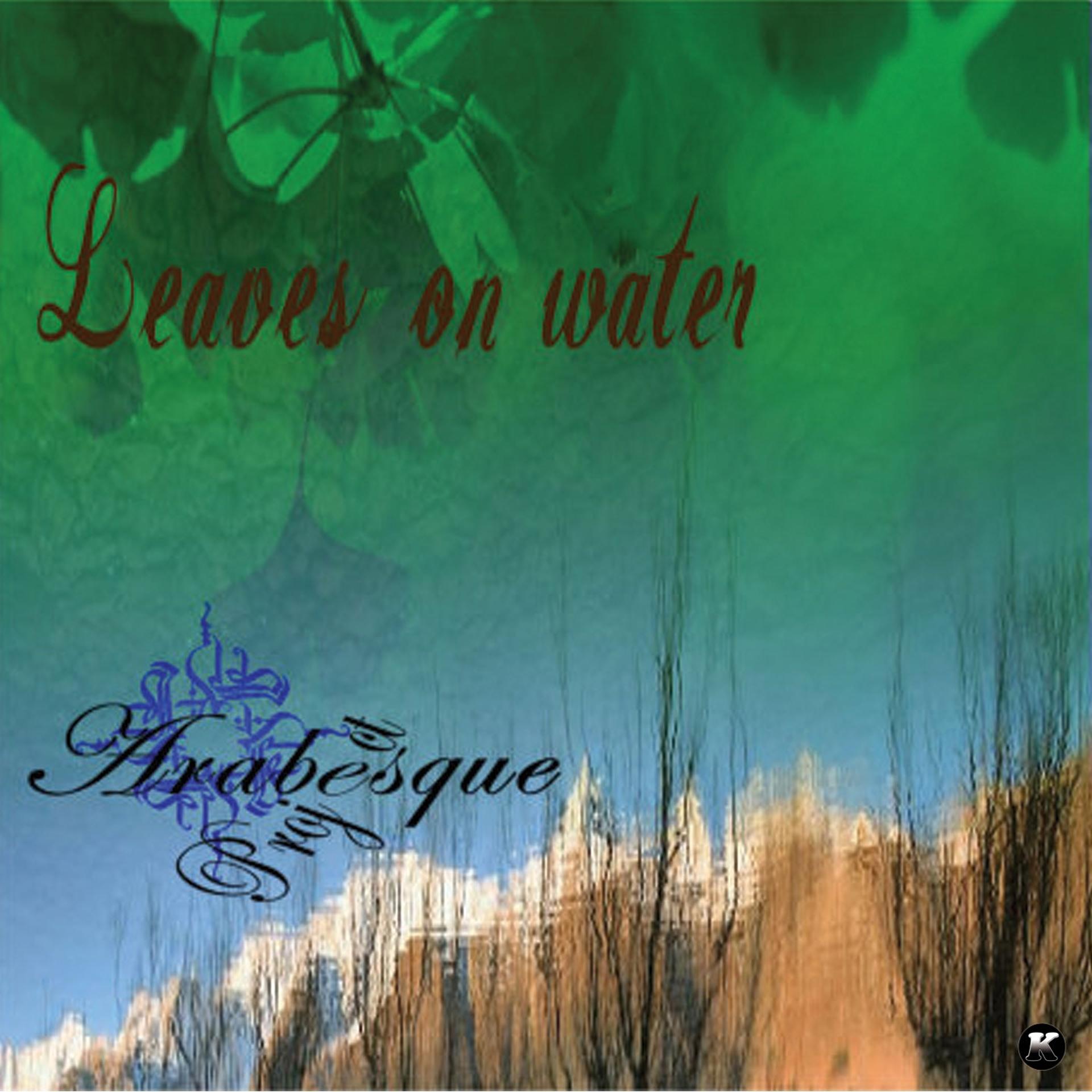 Постер альбома Leaves on Water