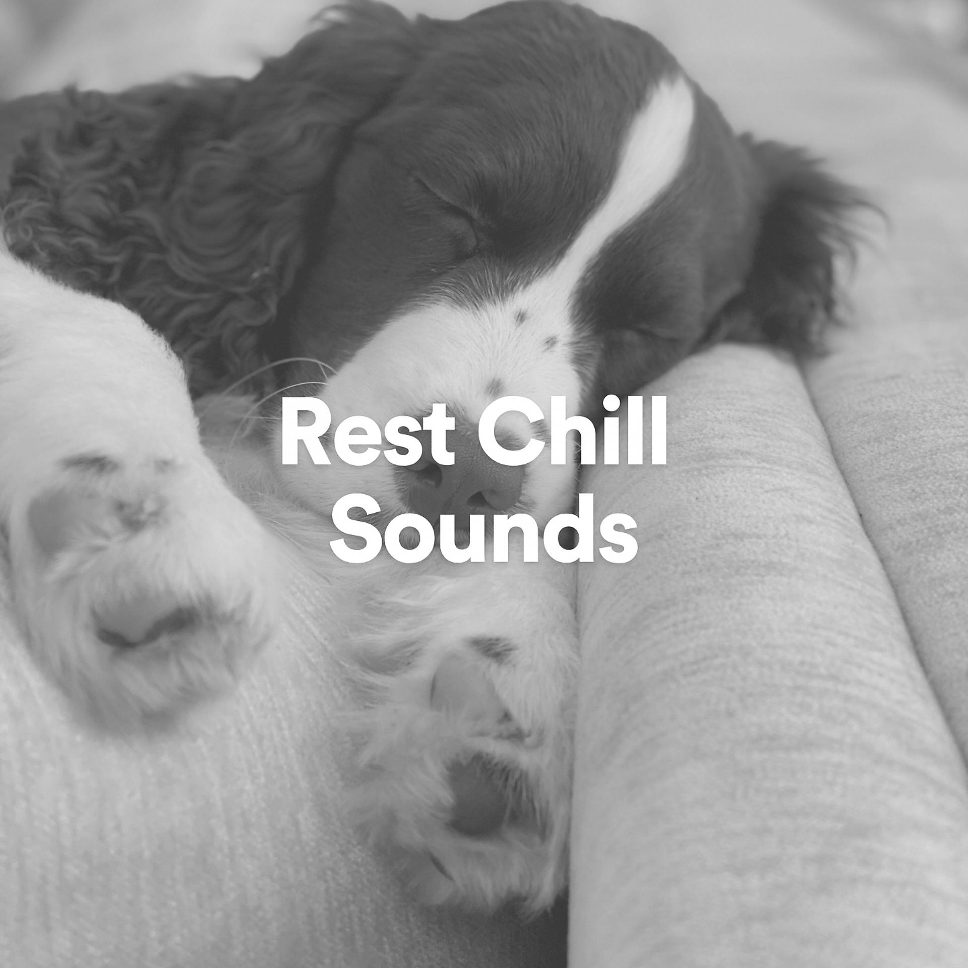 Постер альбома Rest Chill Sounds