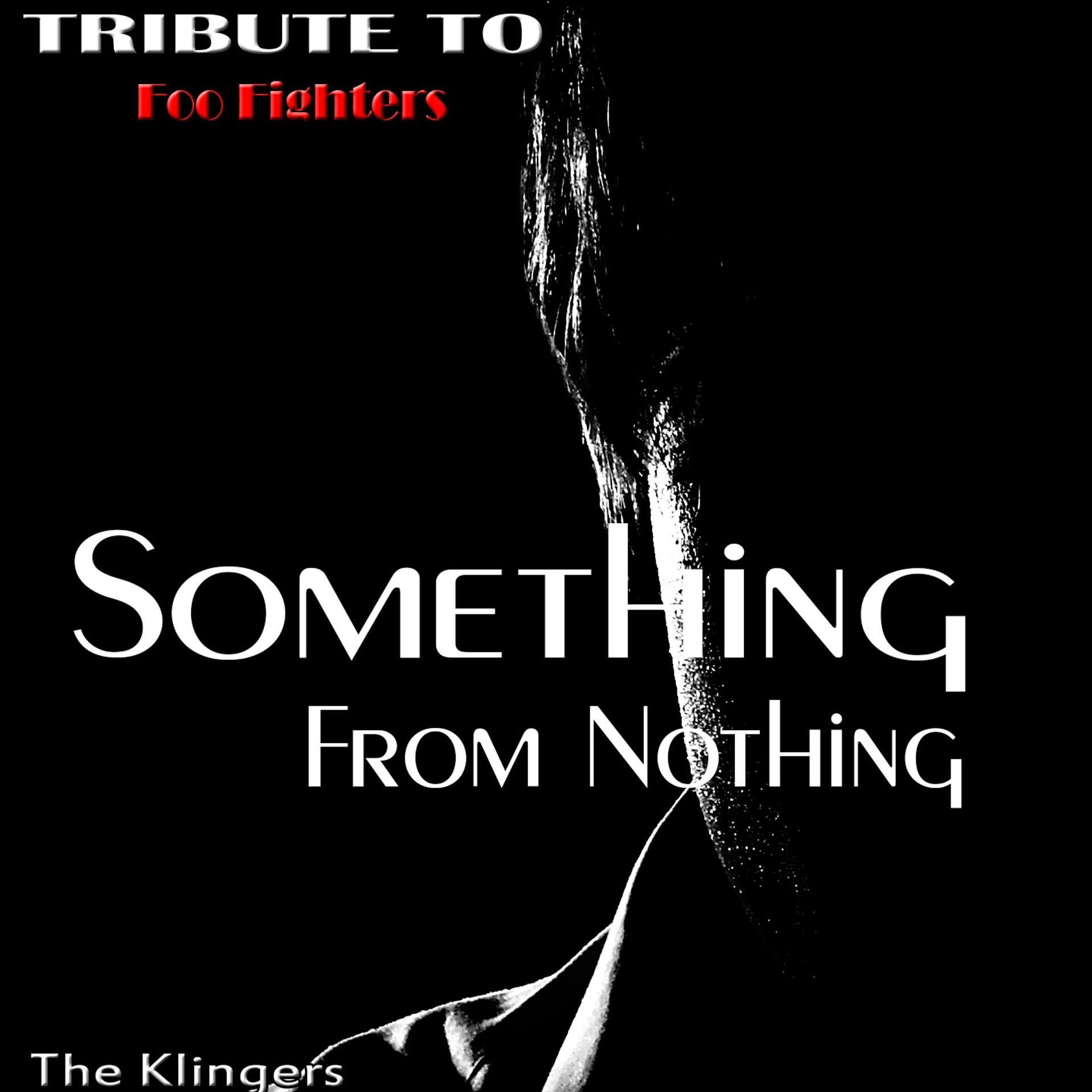 Постер альбома Something from Nothing: Tribute to Foo Fighters