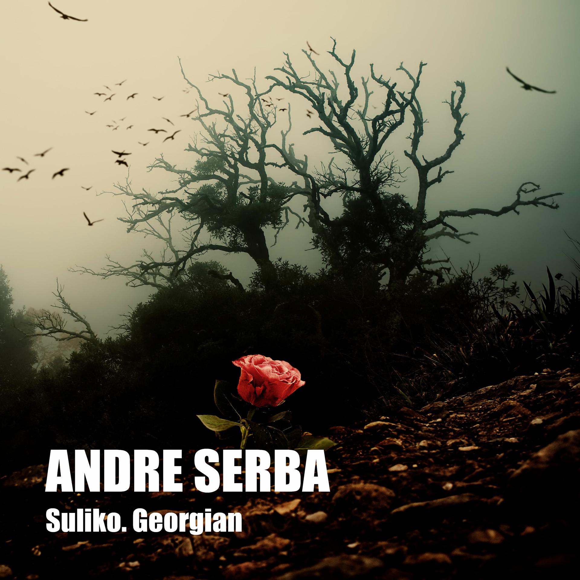 Постер альбома Suliko. Georgian