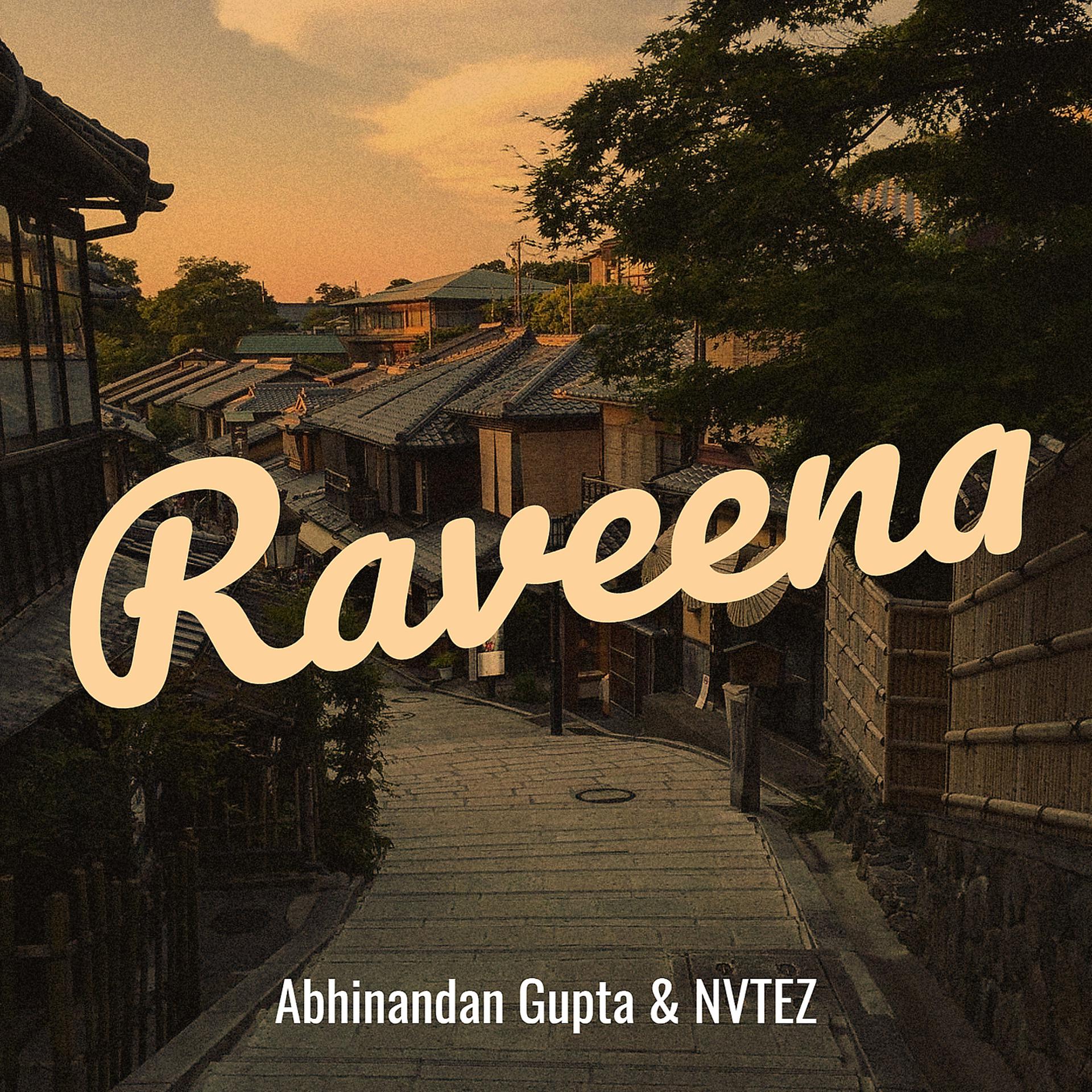 Постер альбома Raveena
