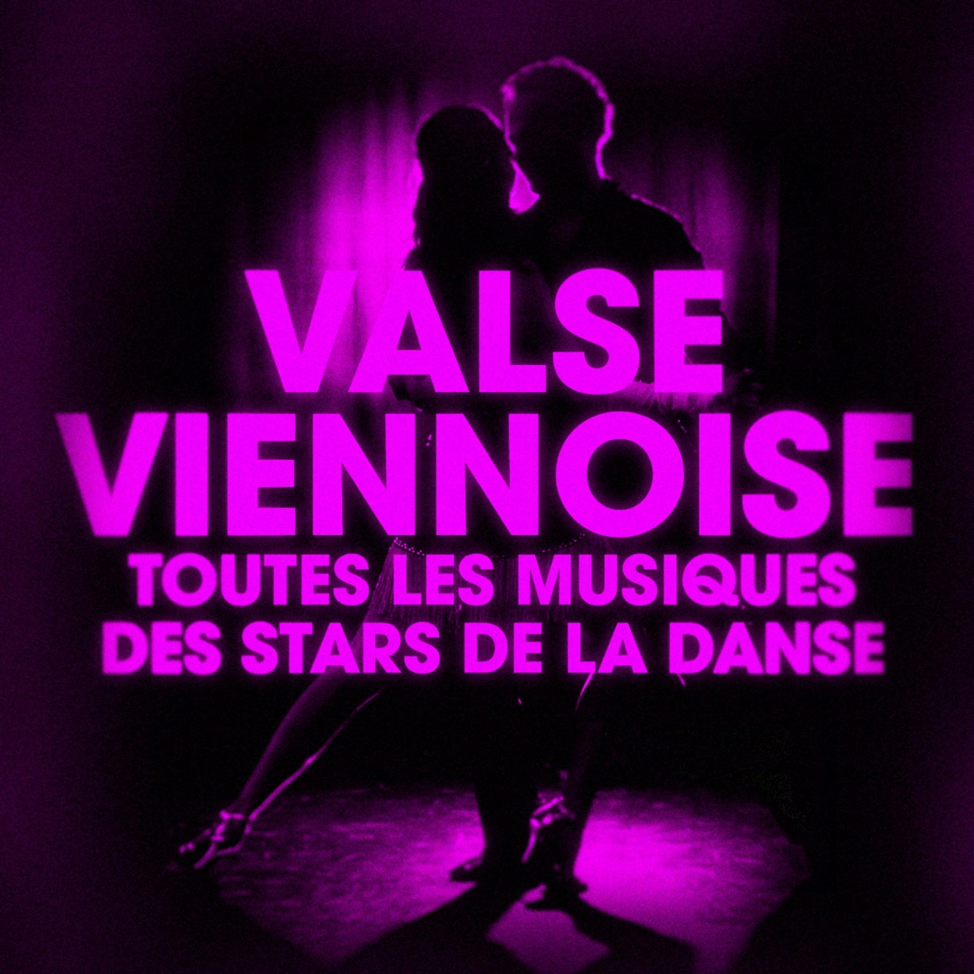 Постер альбома Dansez la valse viennoise (Toutes les musiques des stars de la danse)