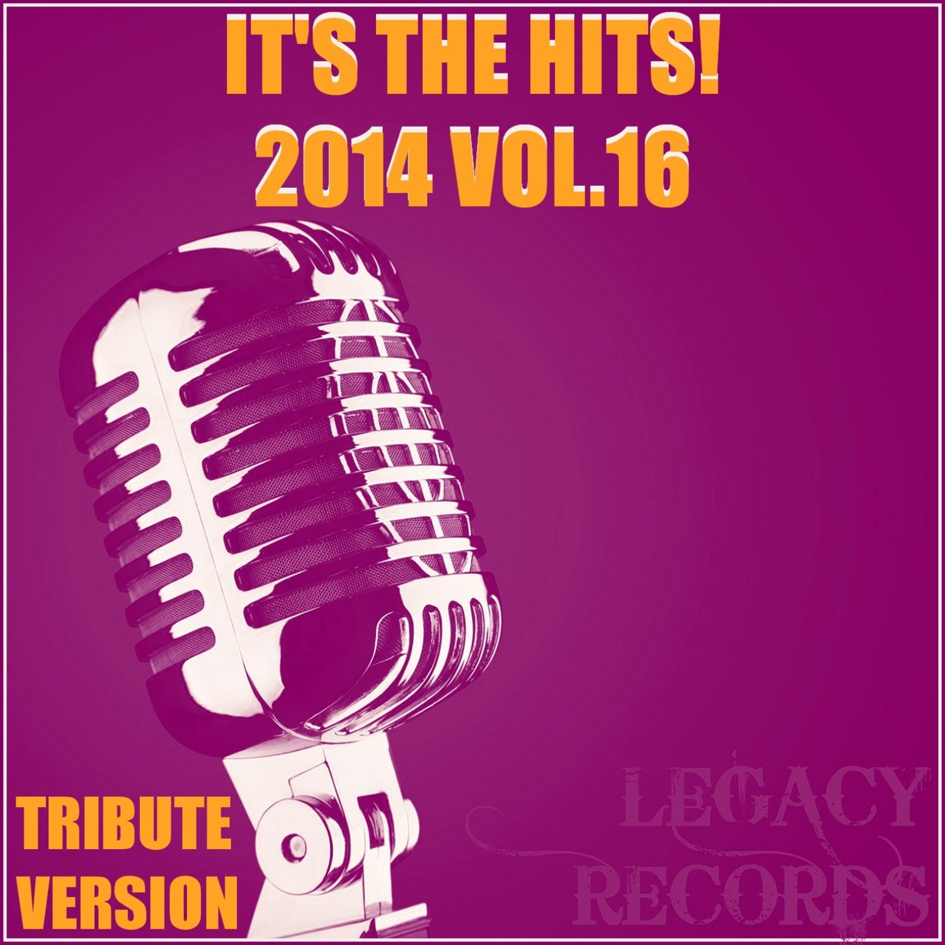 Постер альбома It's the Hits! 2014 Vol.16