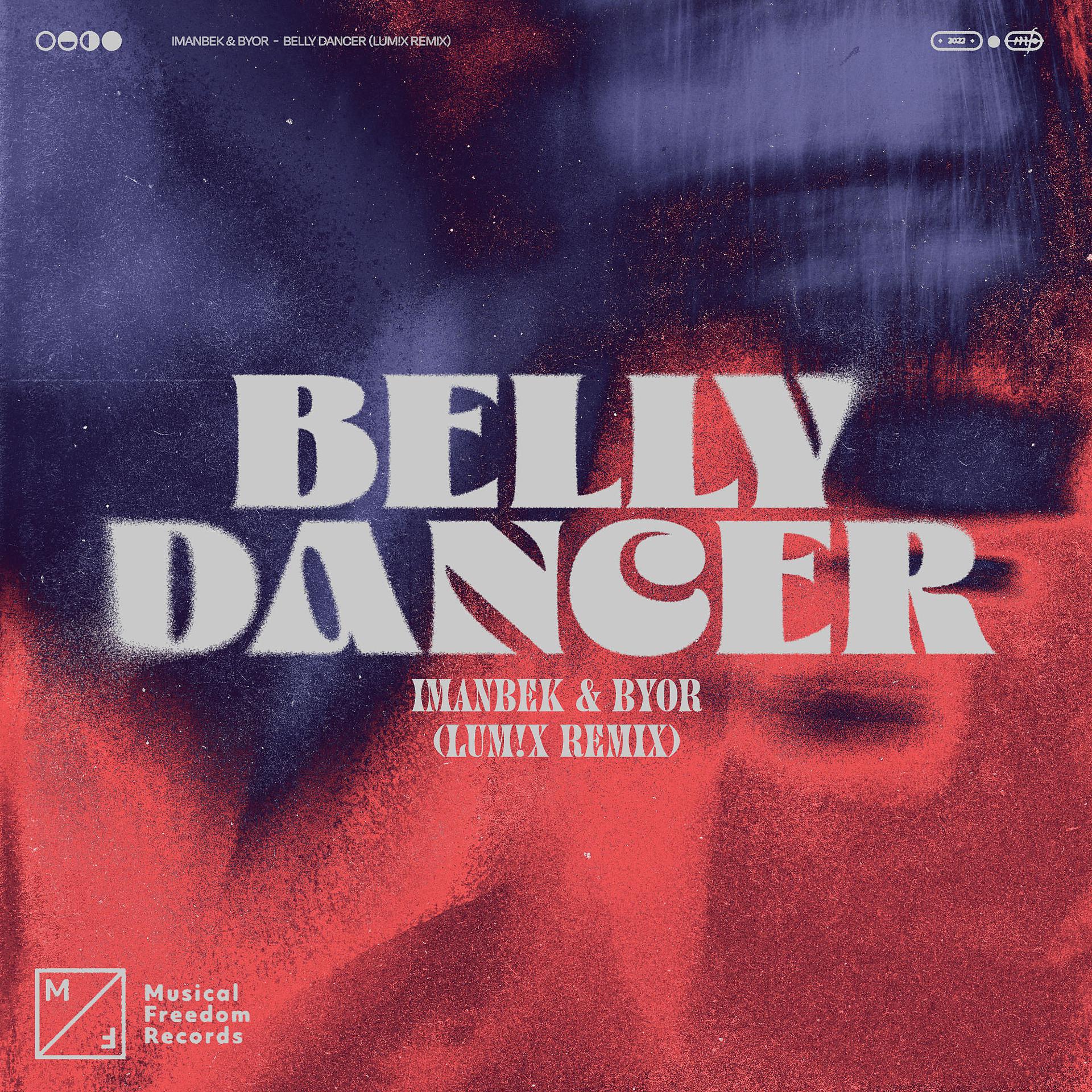 Постер альбома Belly Dancer (LUM!X Remix)