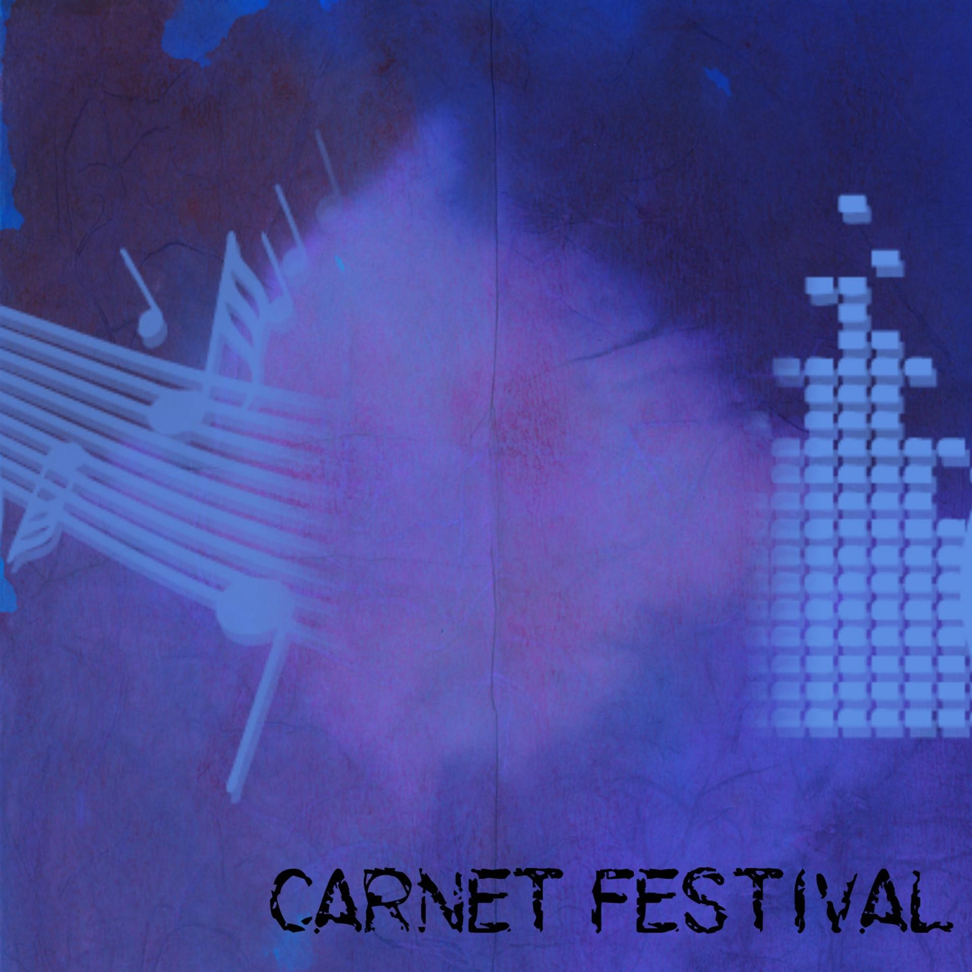 Постер альбома Carnet Festival (130 Dance Hits the Best of Electro House 2015)