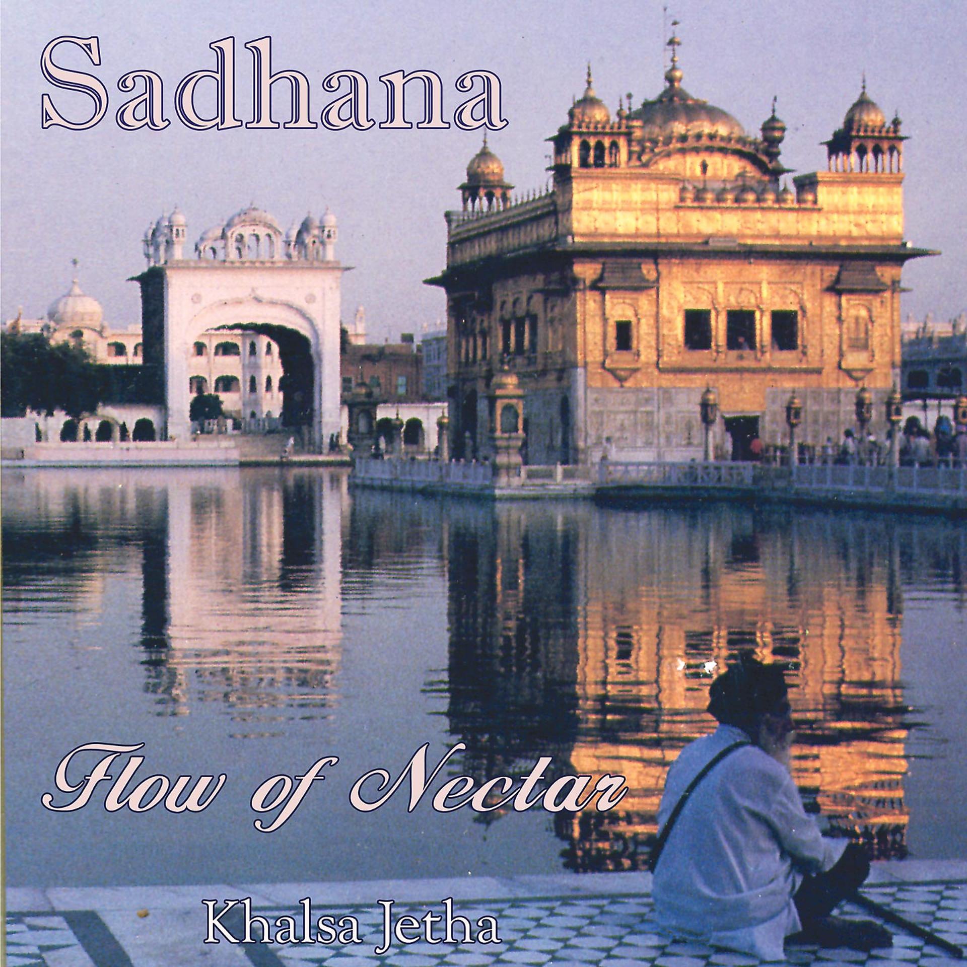 Постер альбома Sadhana Flow Of Nectar