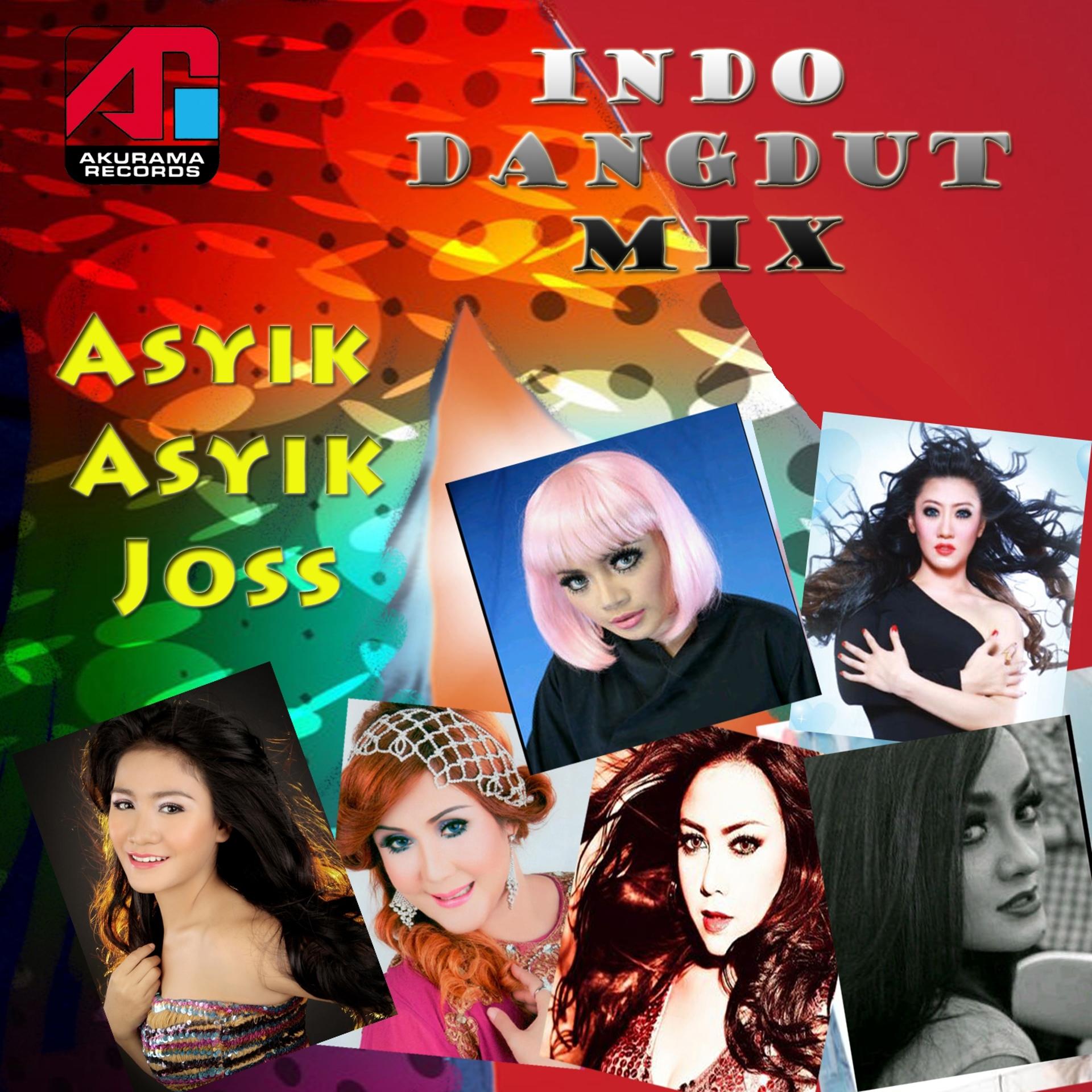 Постер альбома Indo Dangdut Mix: Asyik Asyik Joss