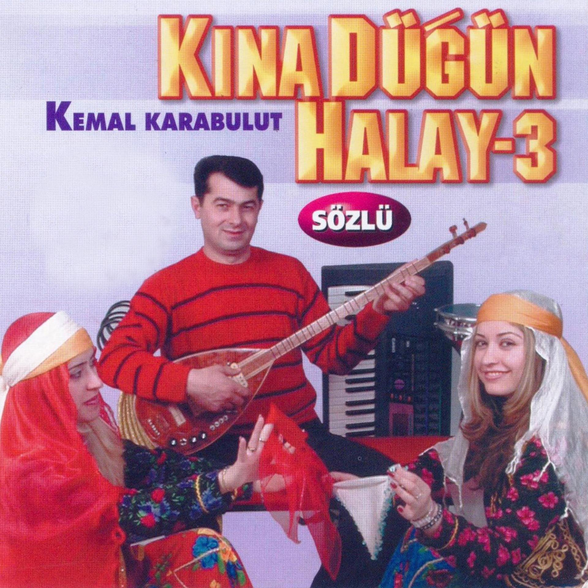 Постер альбома Kına Düğün Halay, Vol. 3