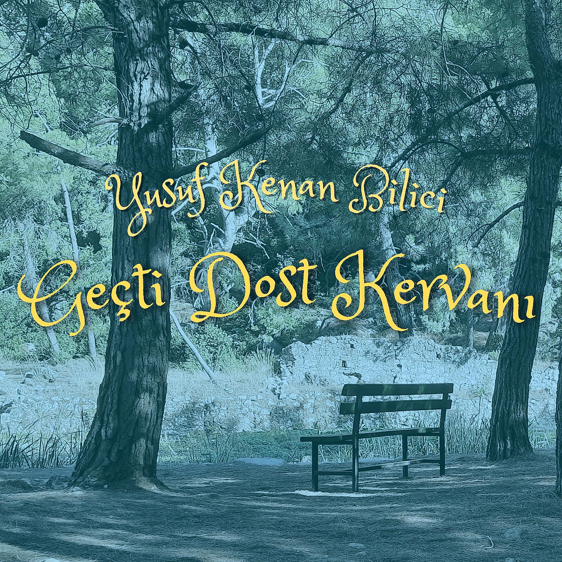 Постер альбома Geçti Dost Kervanı