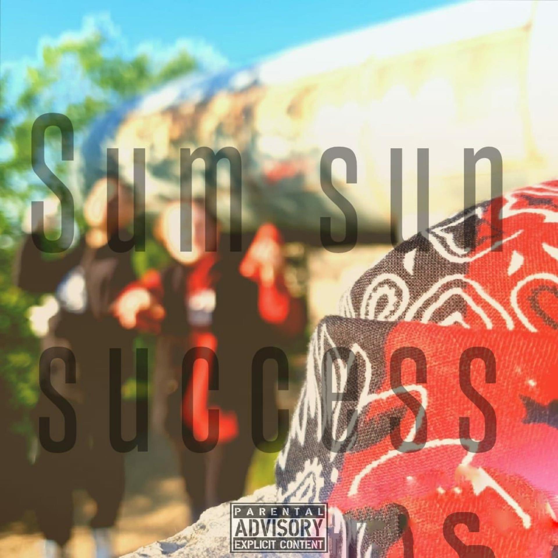 Постер альбома Sum sun success