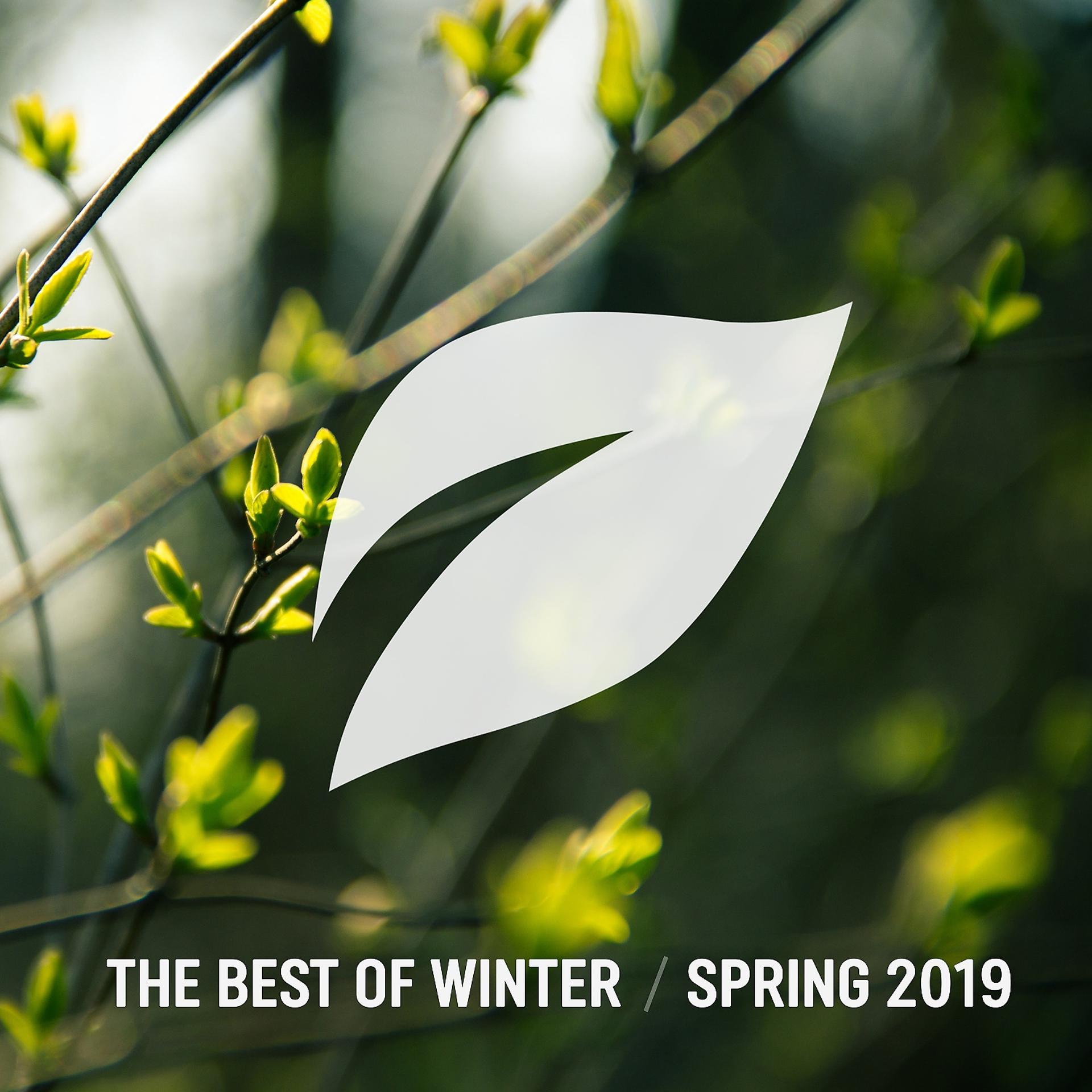 Постер альбома The Best of Winter / Spring 2019