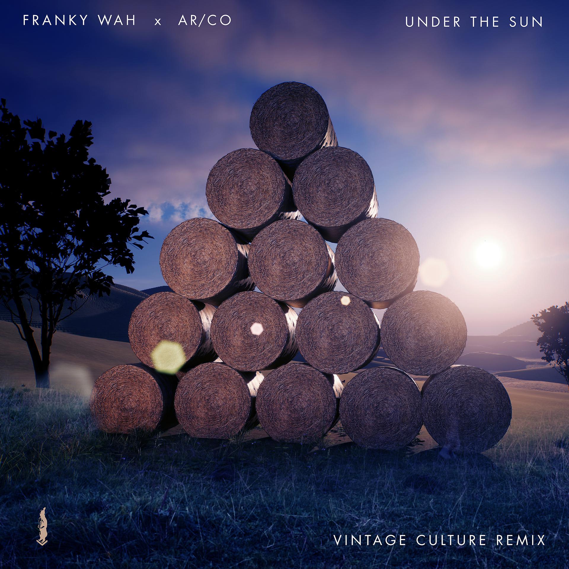 Постер альбома Under The Sun (Vintage Culture Remix)