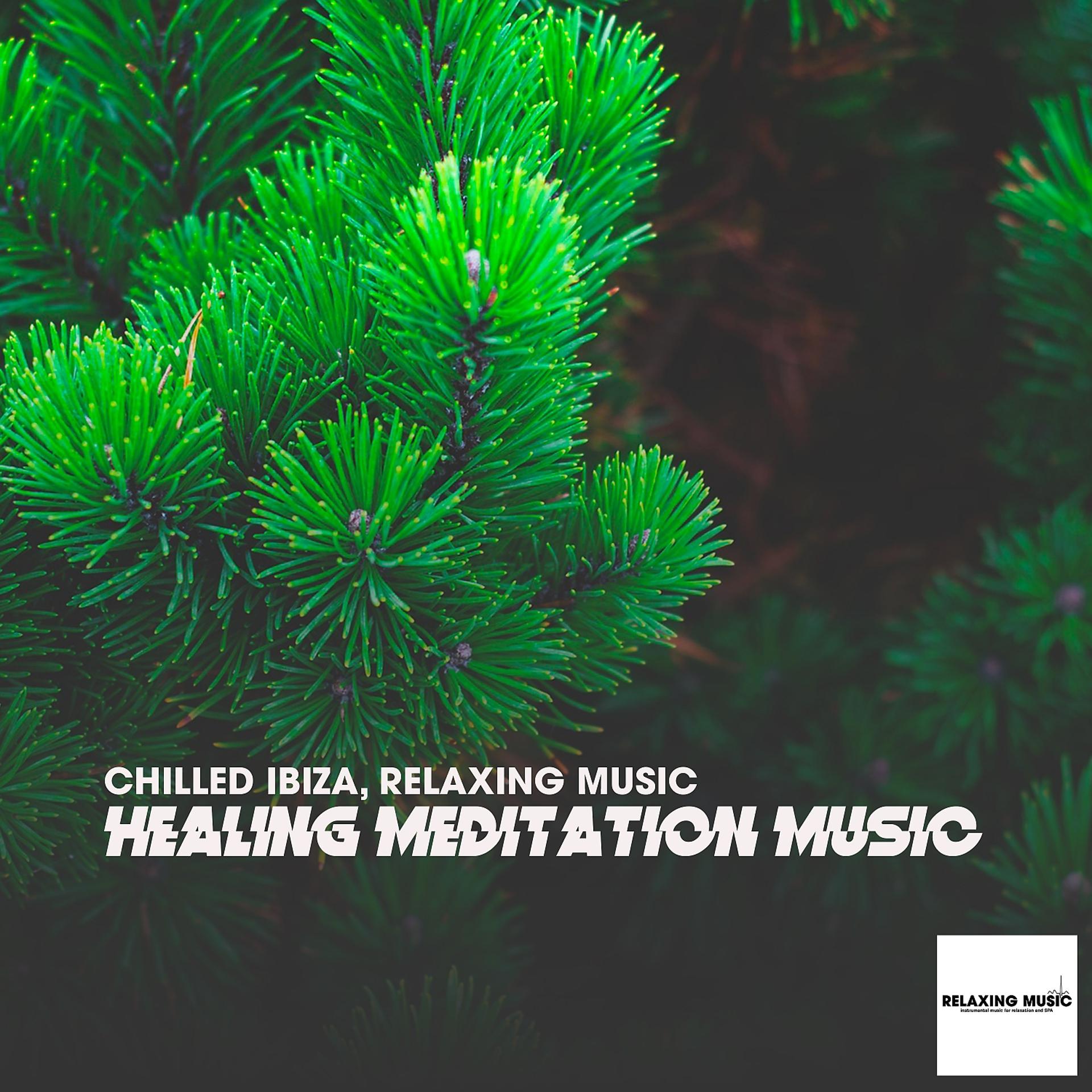 Постер альбома Healing Meditation Music