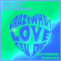 Постер альбома Crazy What Love Can Do (Extended Remixes)