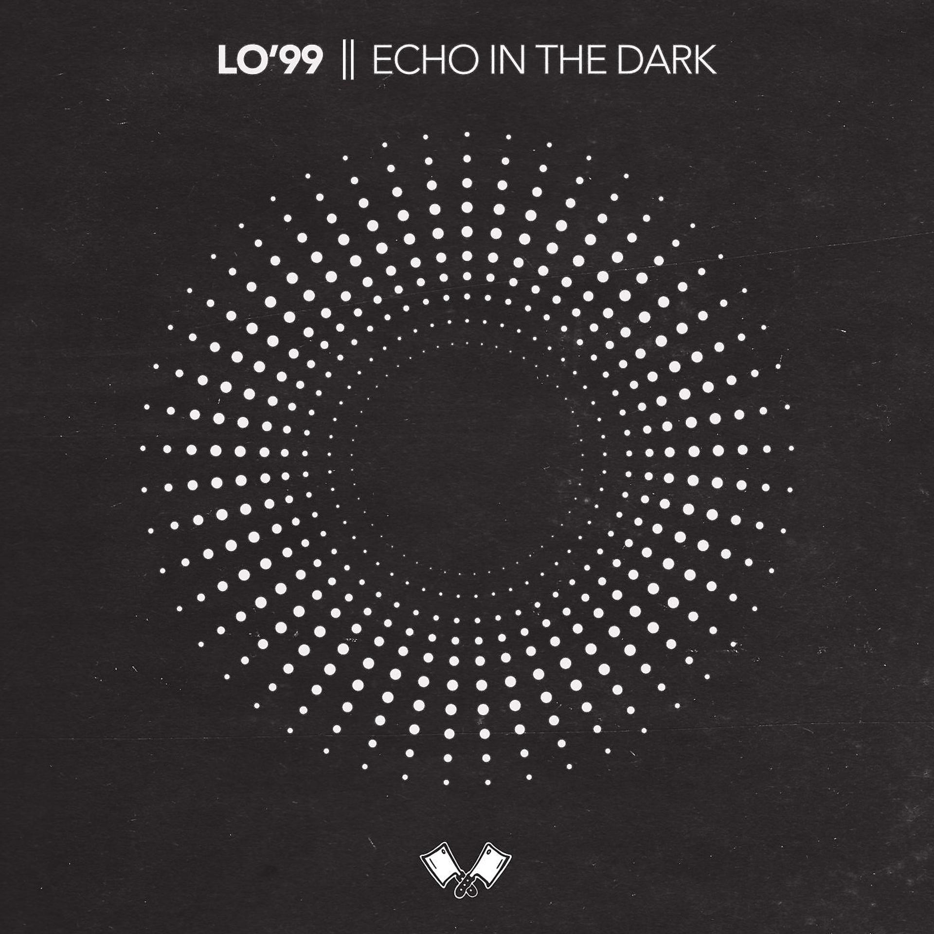 Постер альбома Echo In The Dark