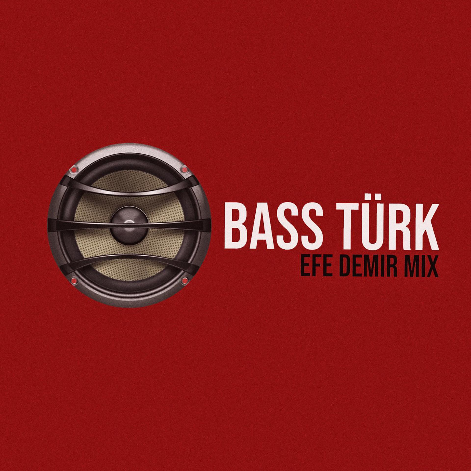 Постер альбома BASS TÜRK