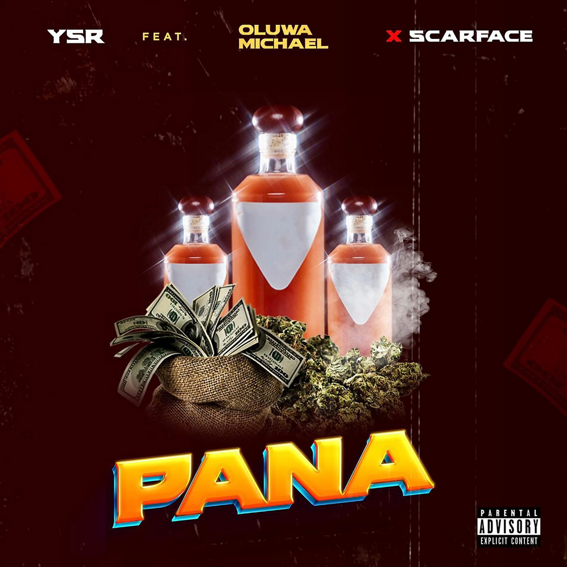 Постер альбома Pana