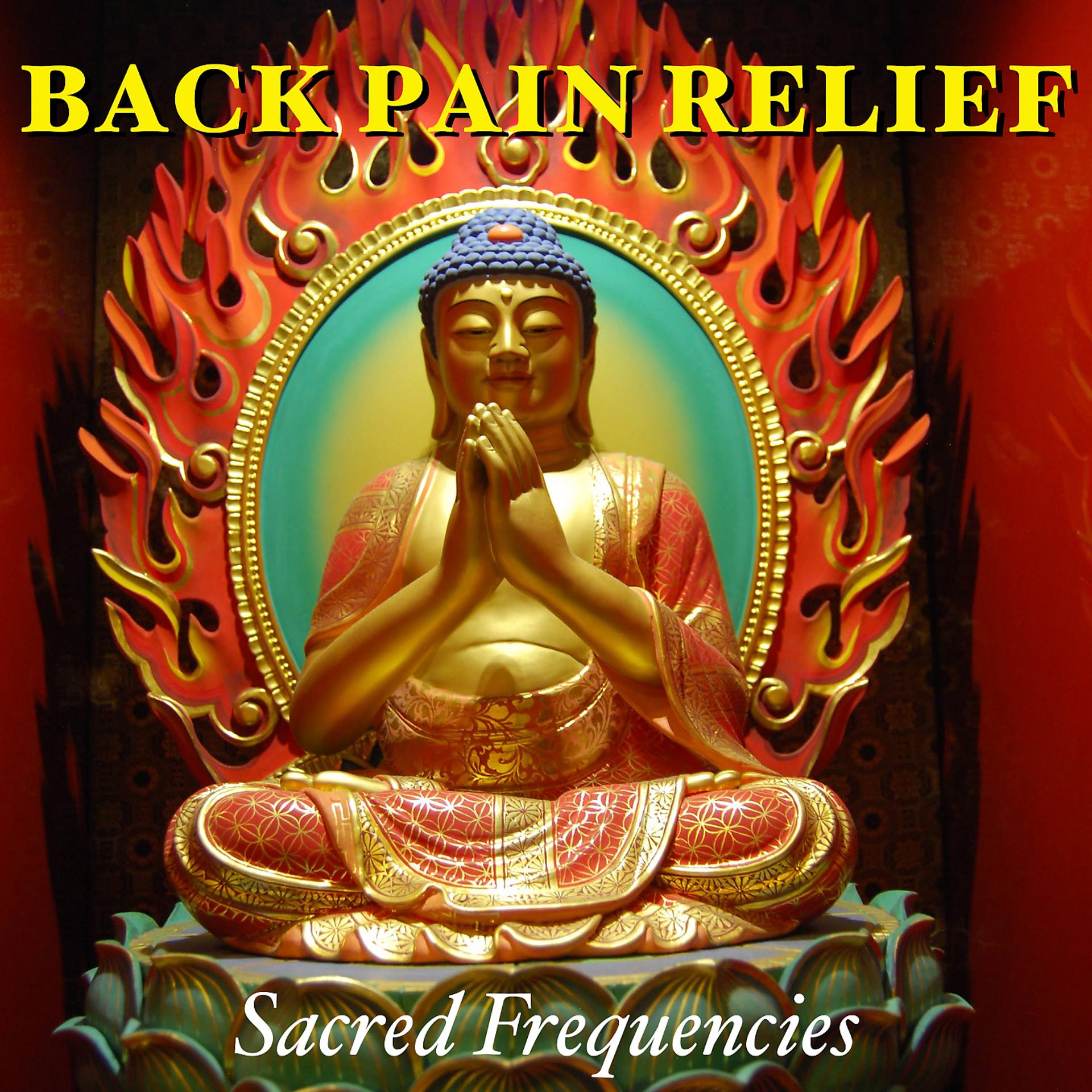 Постер альбома Back Pain Relief (Sacred Frequencies)