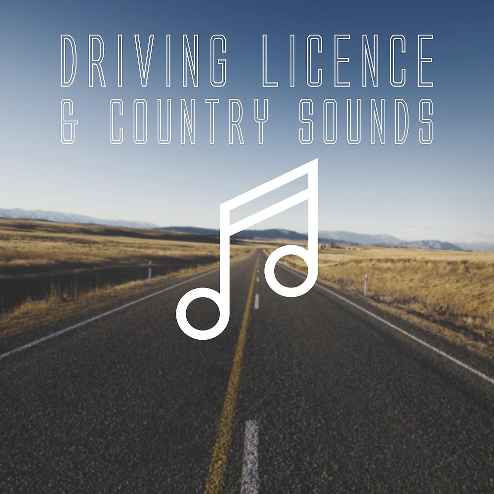 Постер альбома Driving Licence & Country Sounds