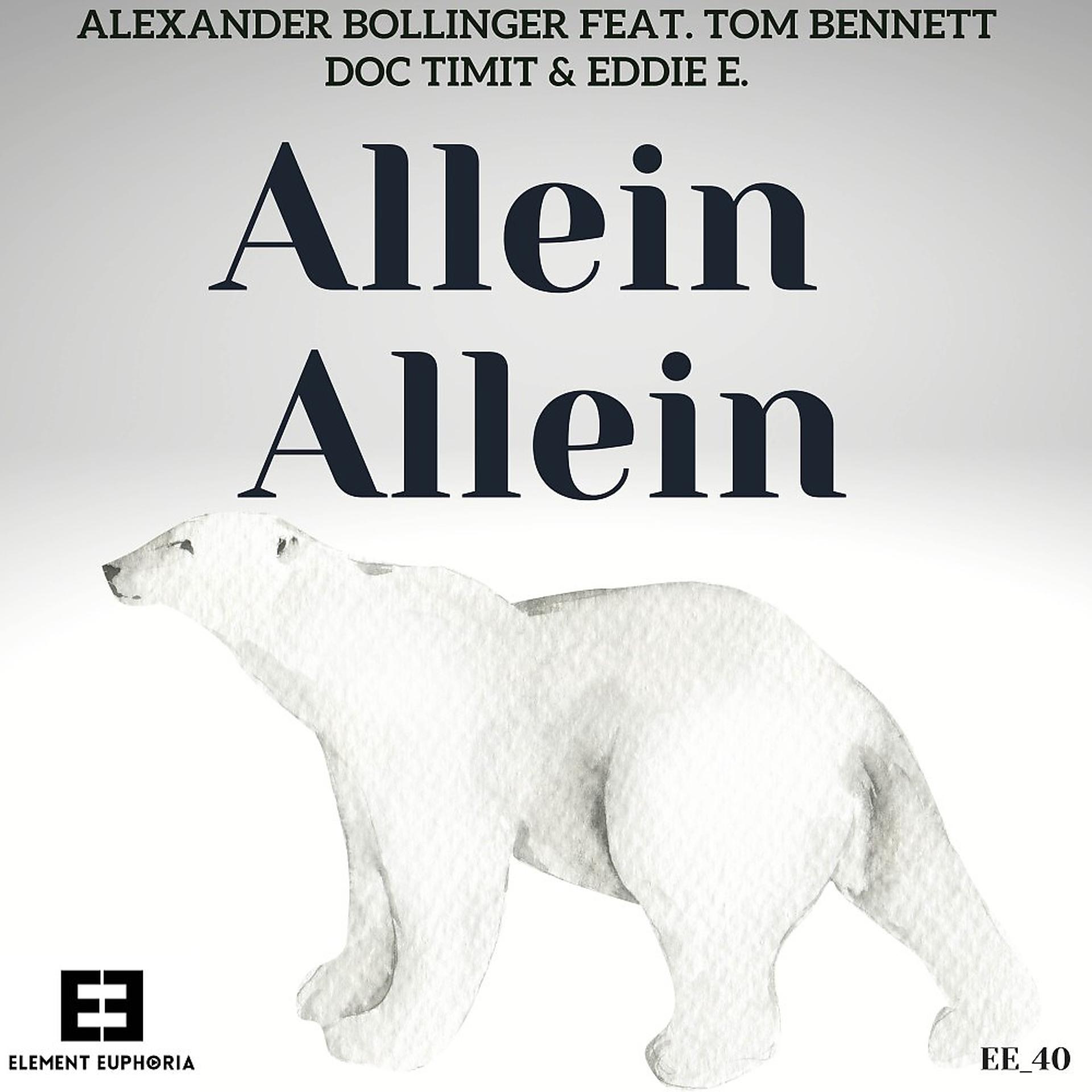 Постер альбома Allein Allein