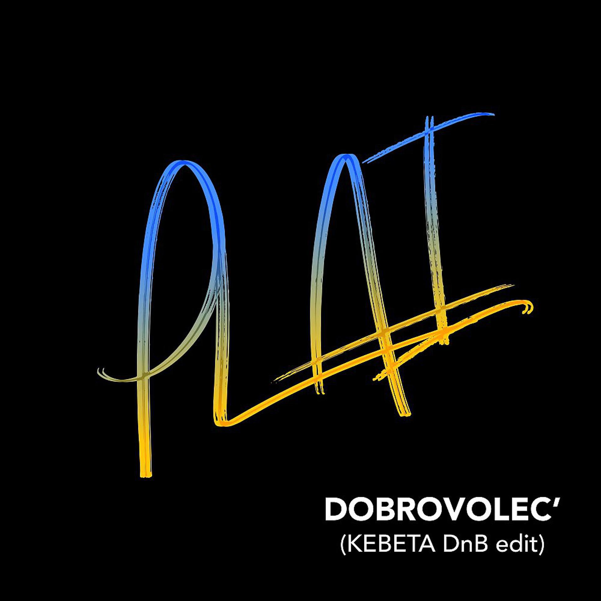 Постер альбома Dobrovolec' (KEBETA DnB edit)