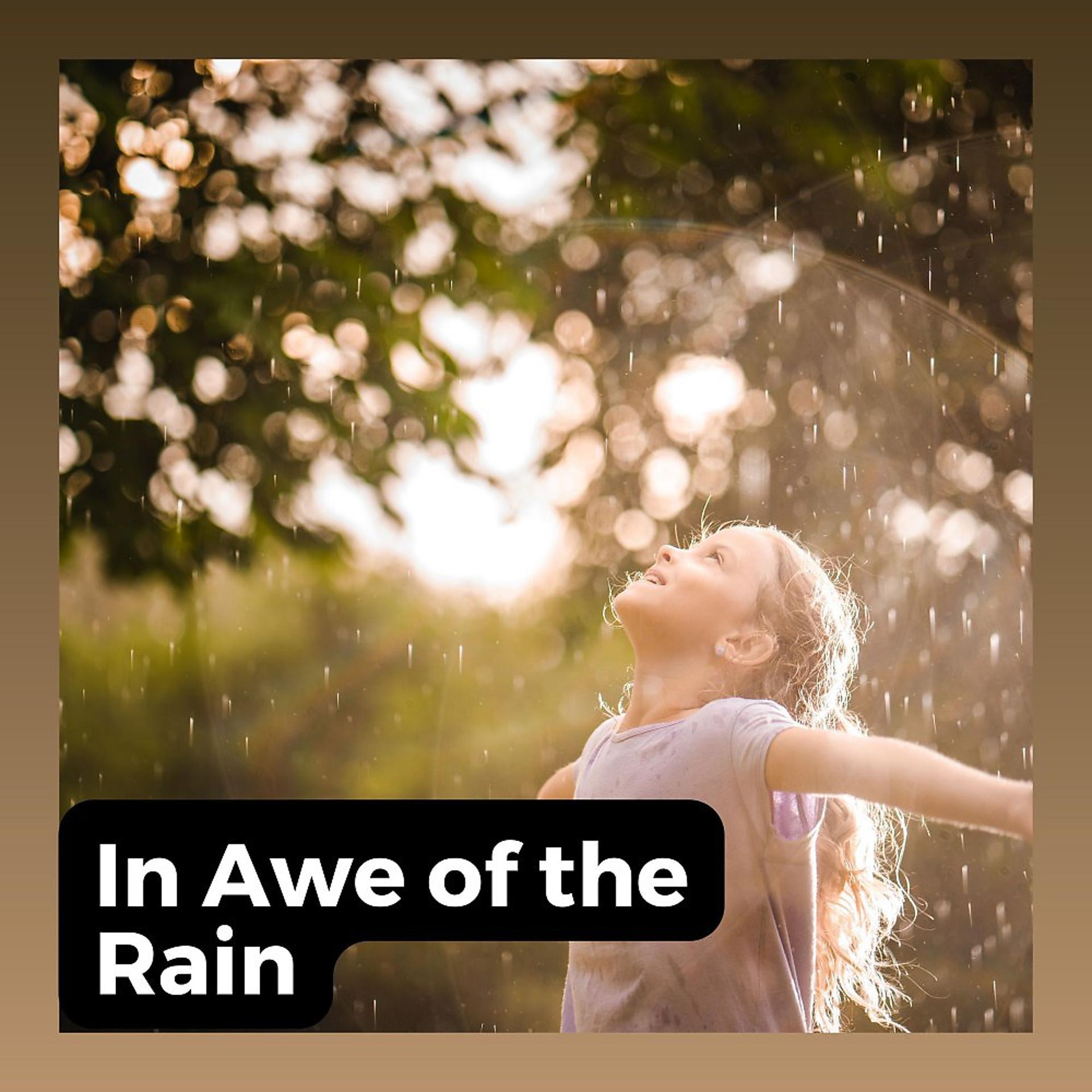 Постер альбома In Awe of the Rain