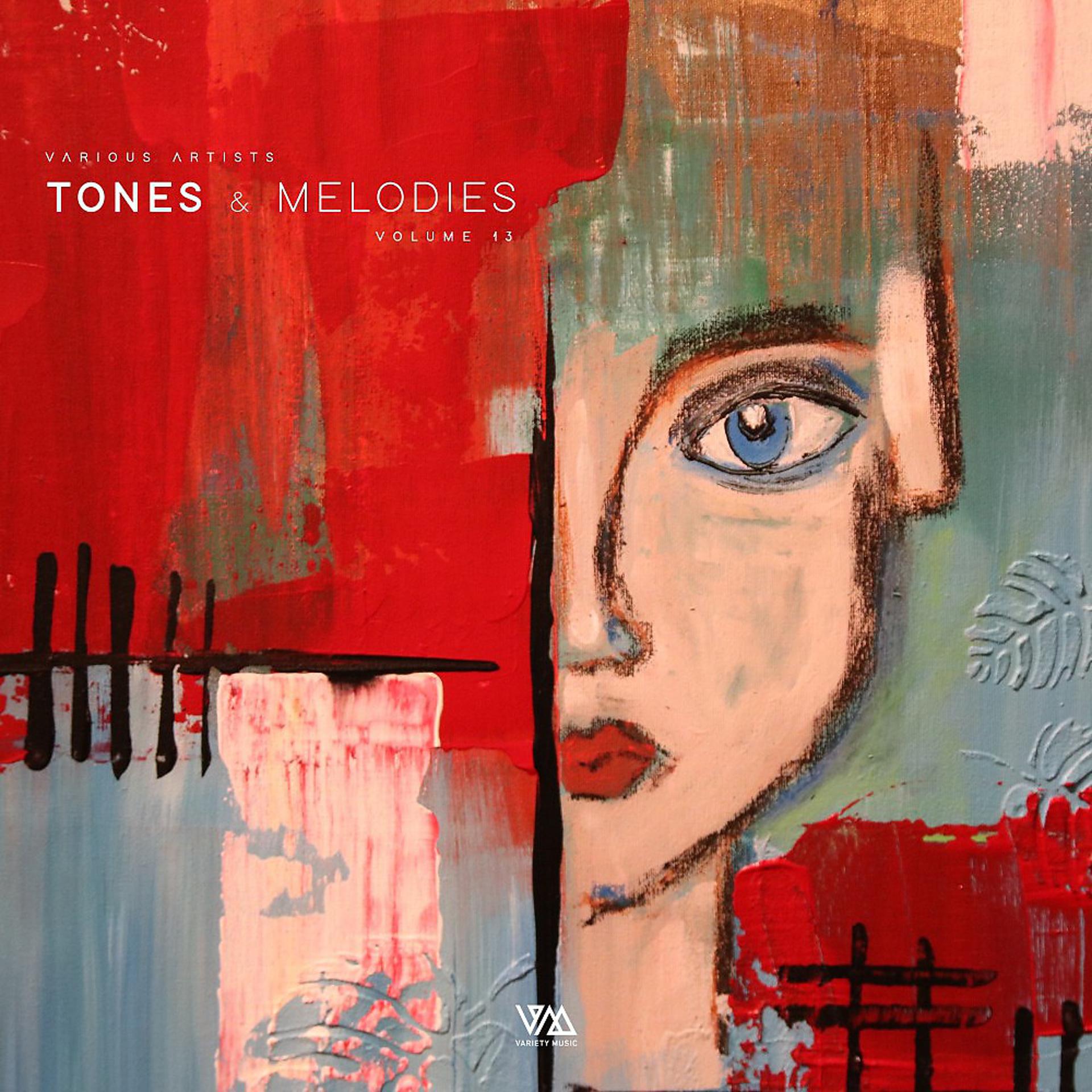 Постер альбома Tones & Melodies, Vol. 13