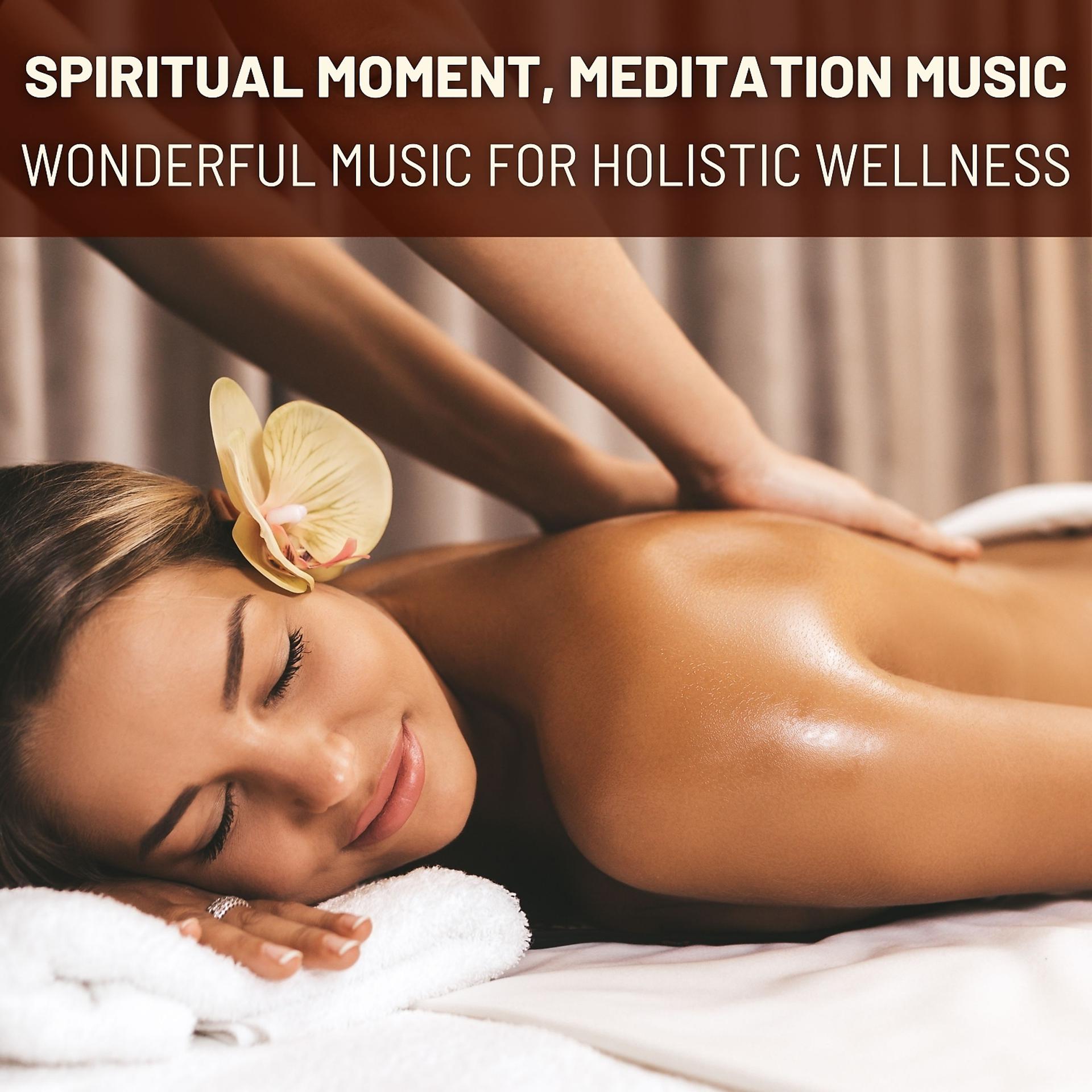 Постер альбома Wonderful Music for Holistic Wellness