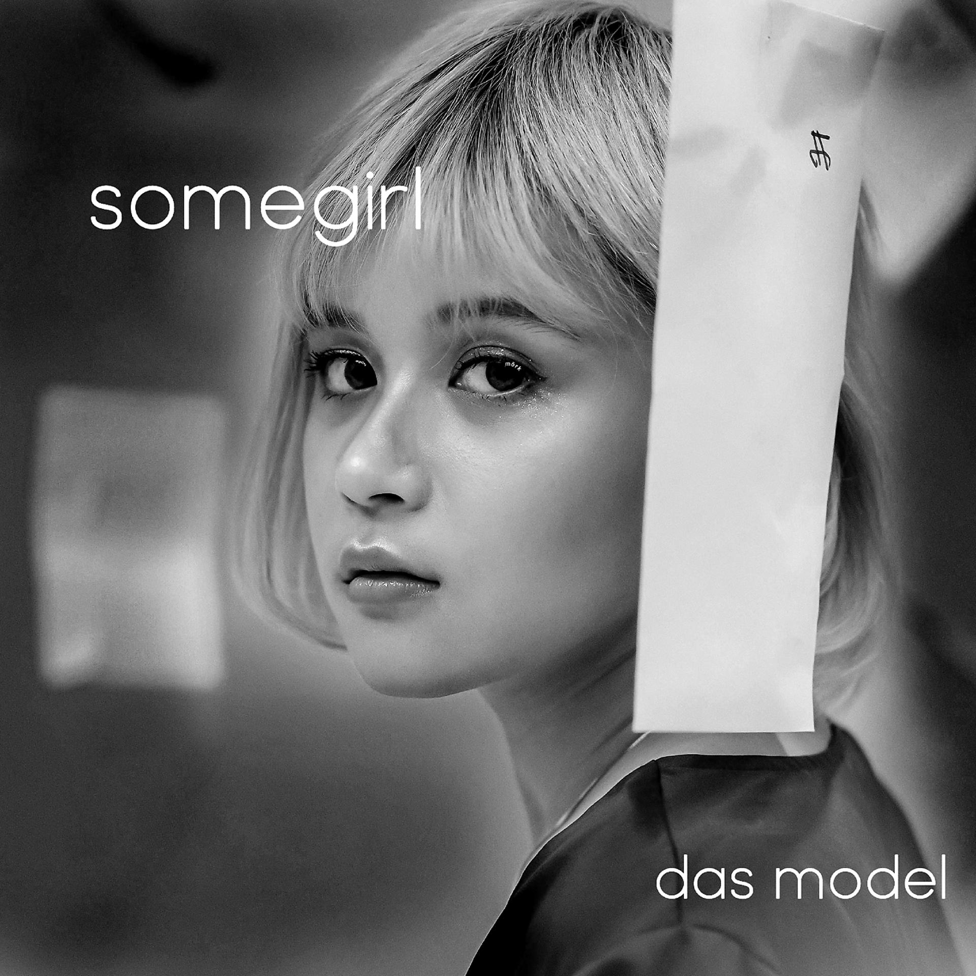 Постер альбома Das Model