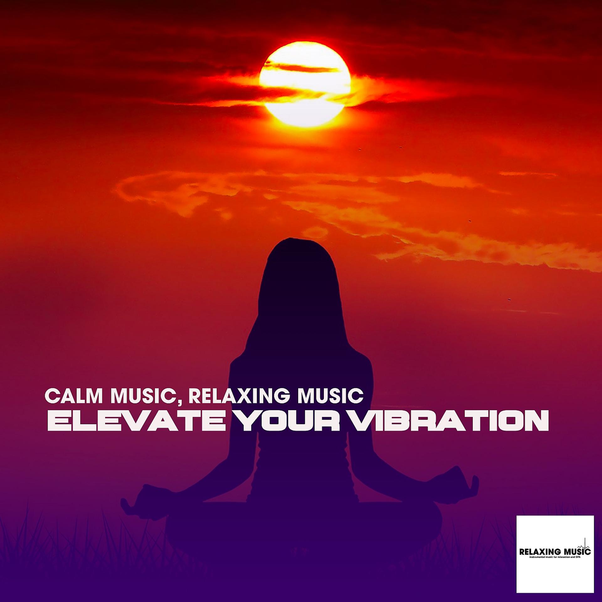 Постер альбома Elevate Your Vibration