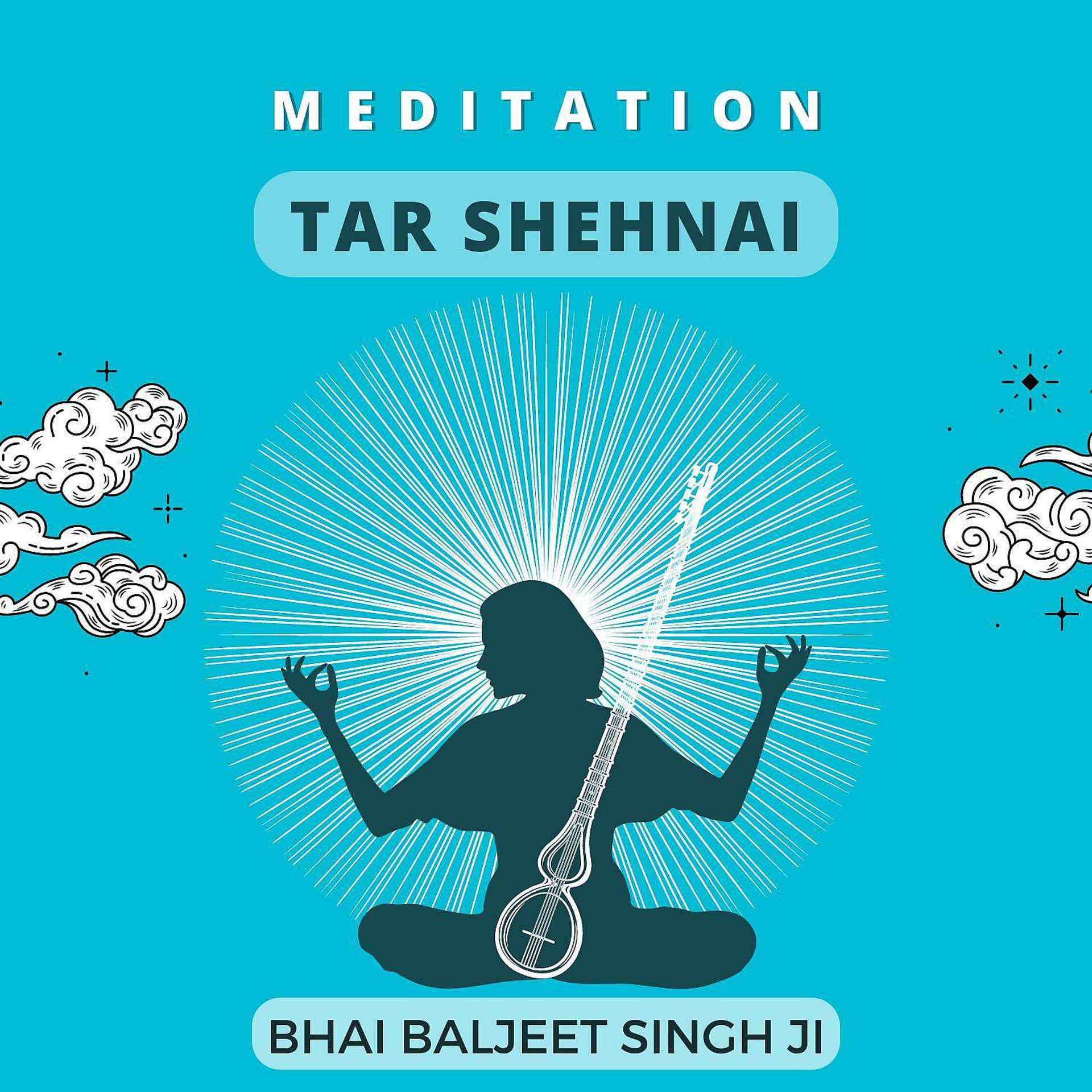 Постер альбома Meditation - Tar Shehnai
