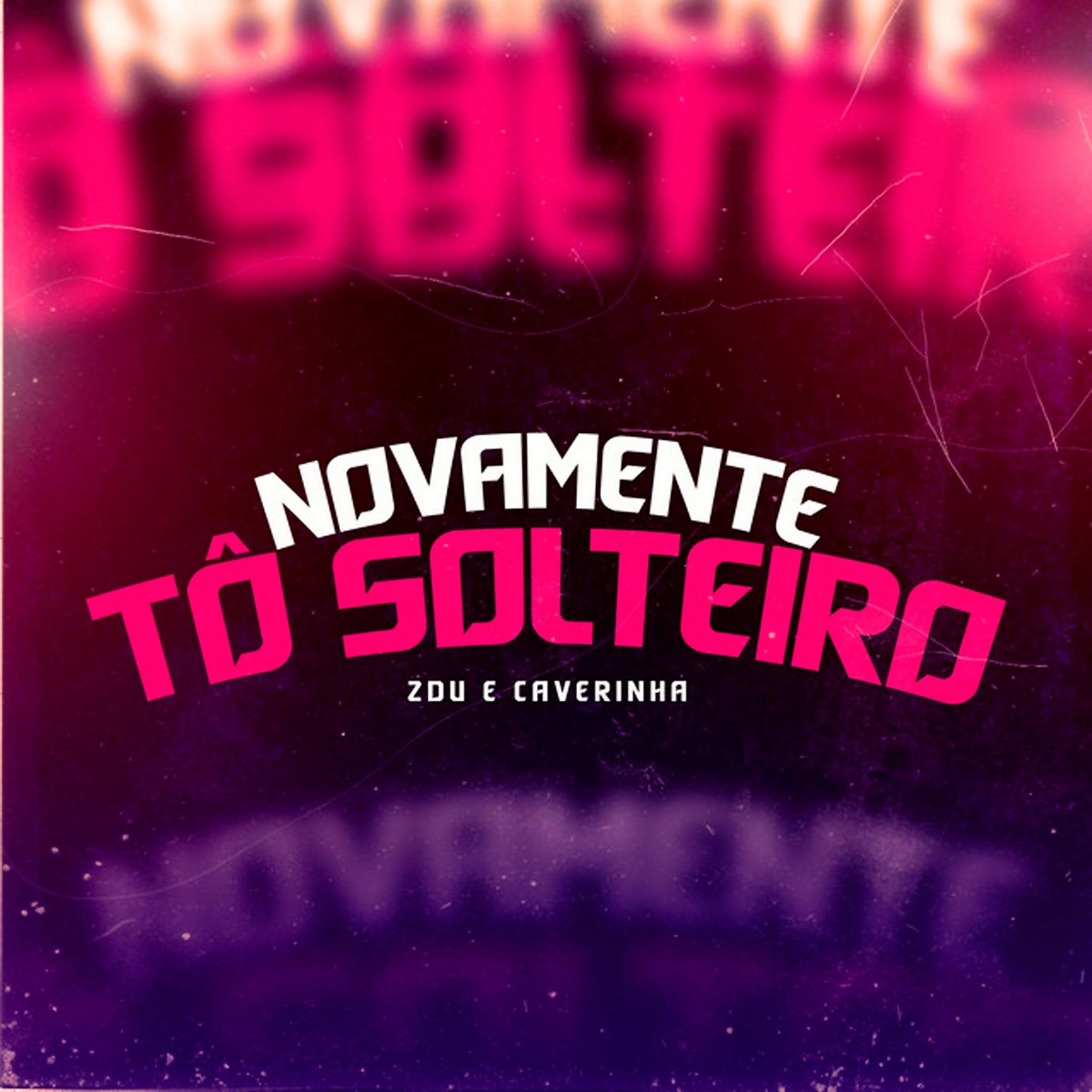 Постер альбома Novamente Tô Solteiro
