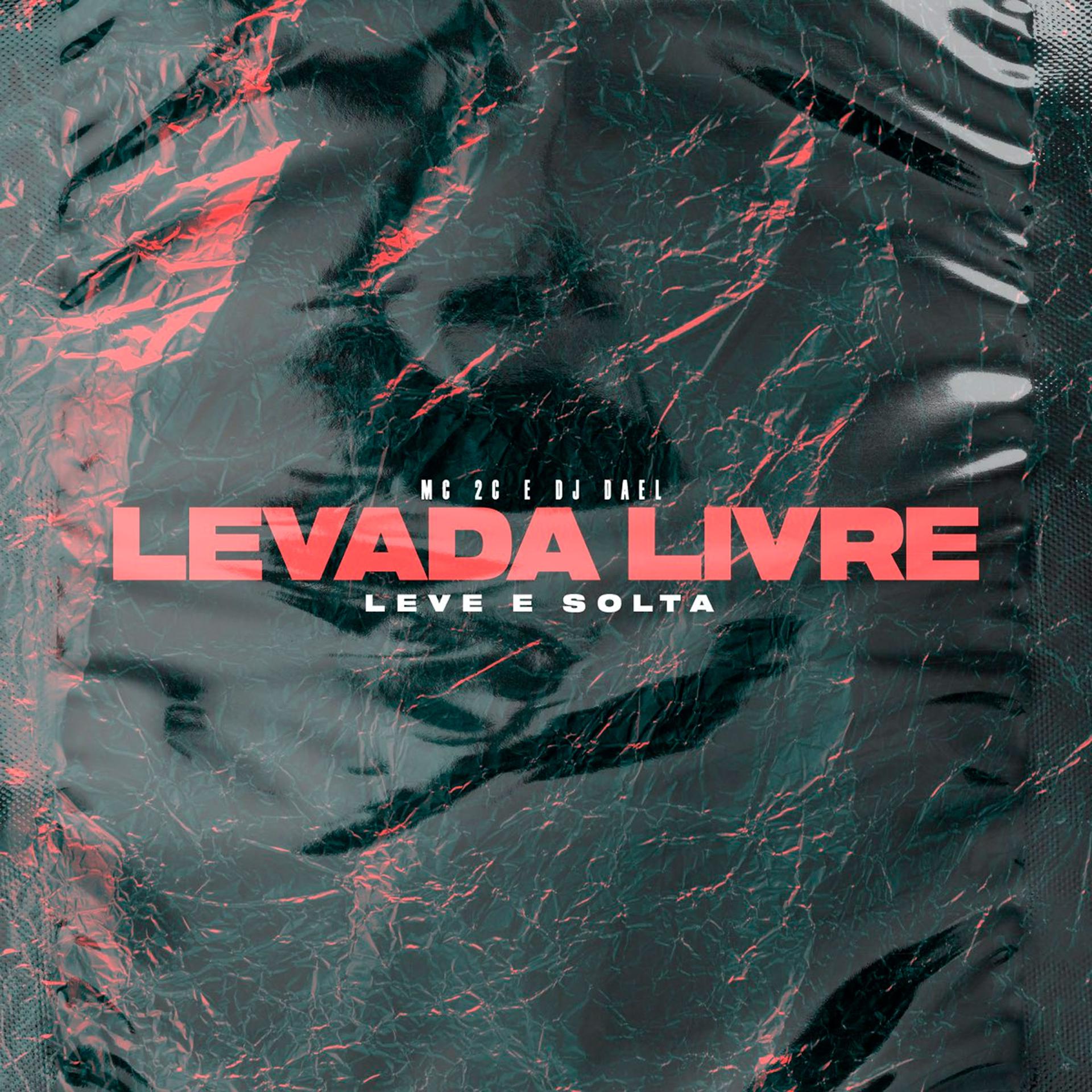Постер альбома Levada Livre Leve e Solta