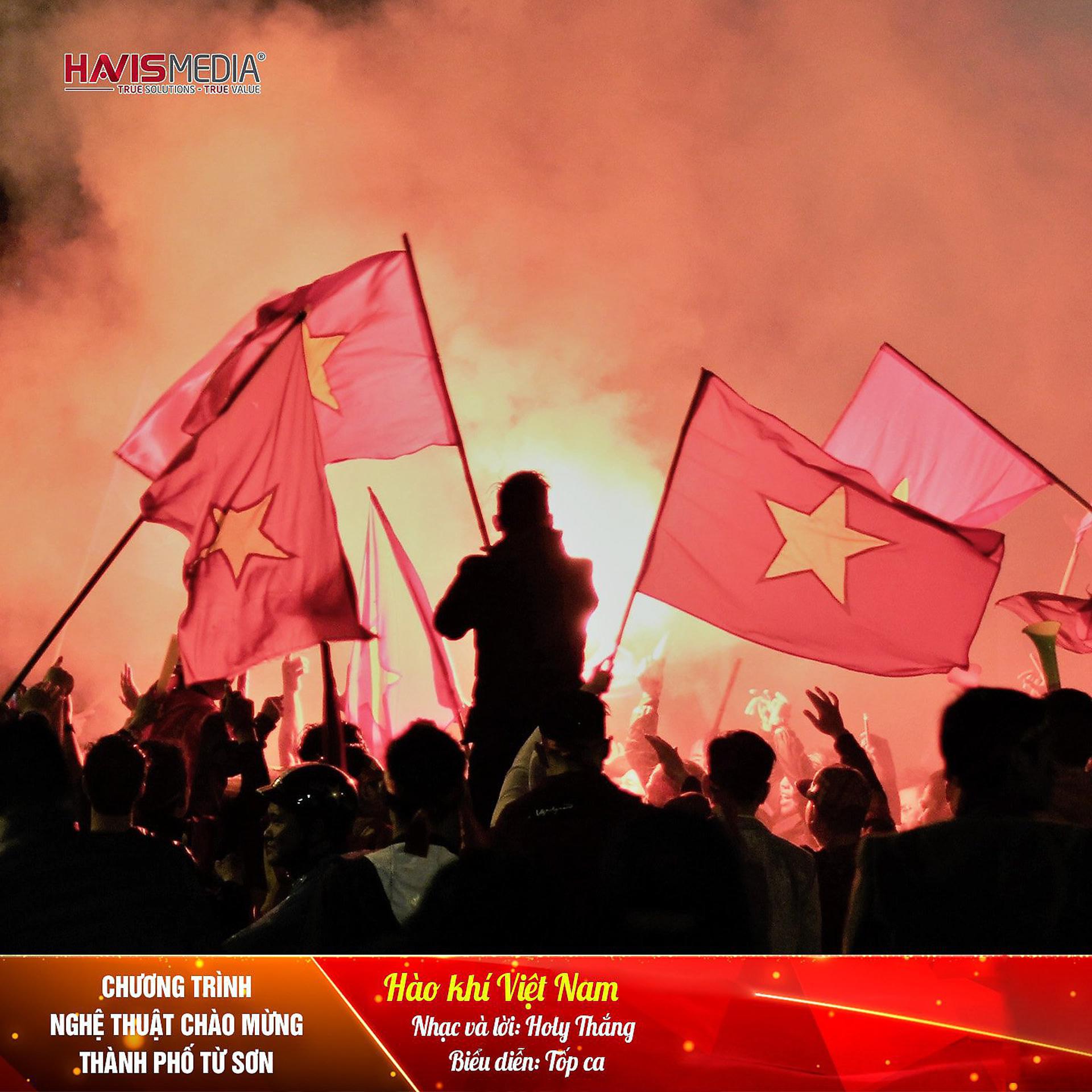 Постер альбома Hào Khí Việt Nam