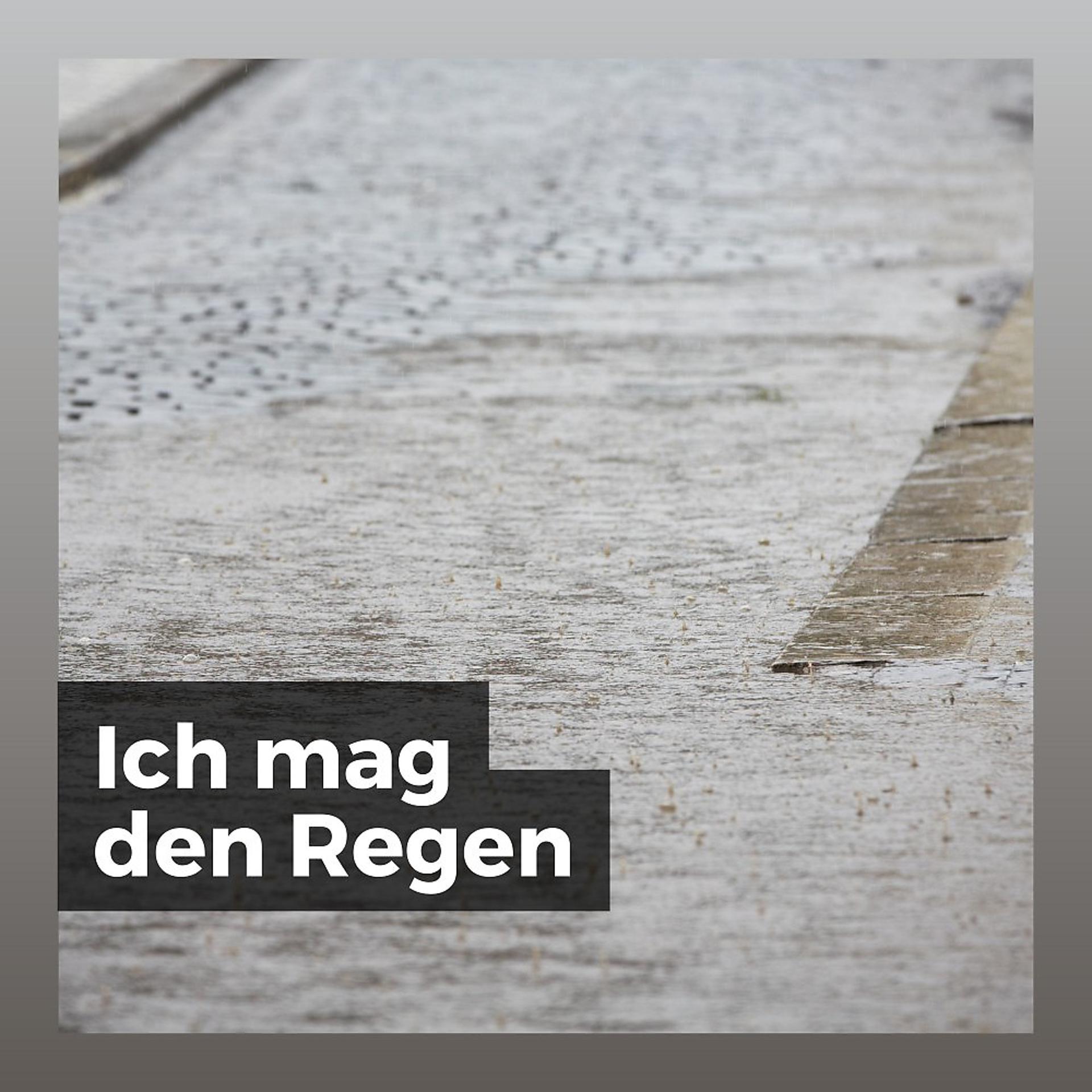 Постер альбома Ich Mag Den Regen