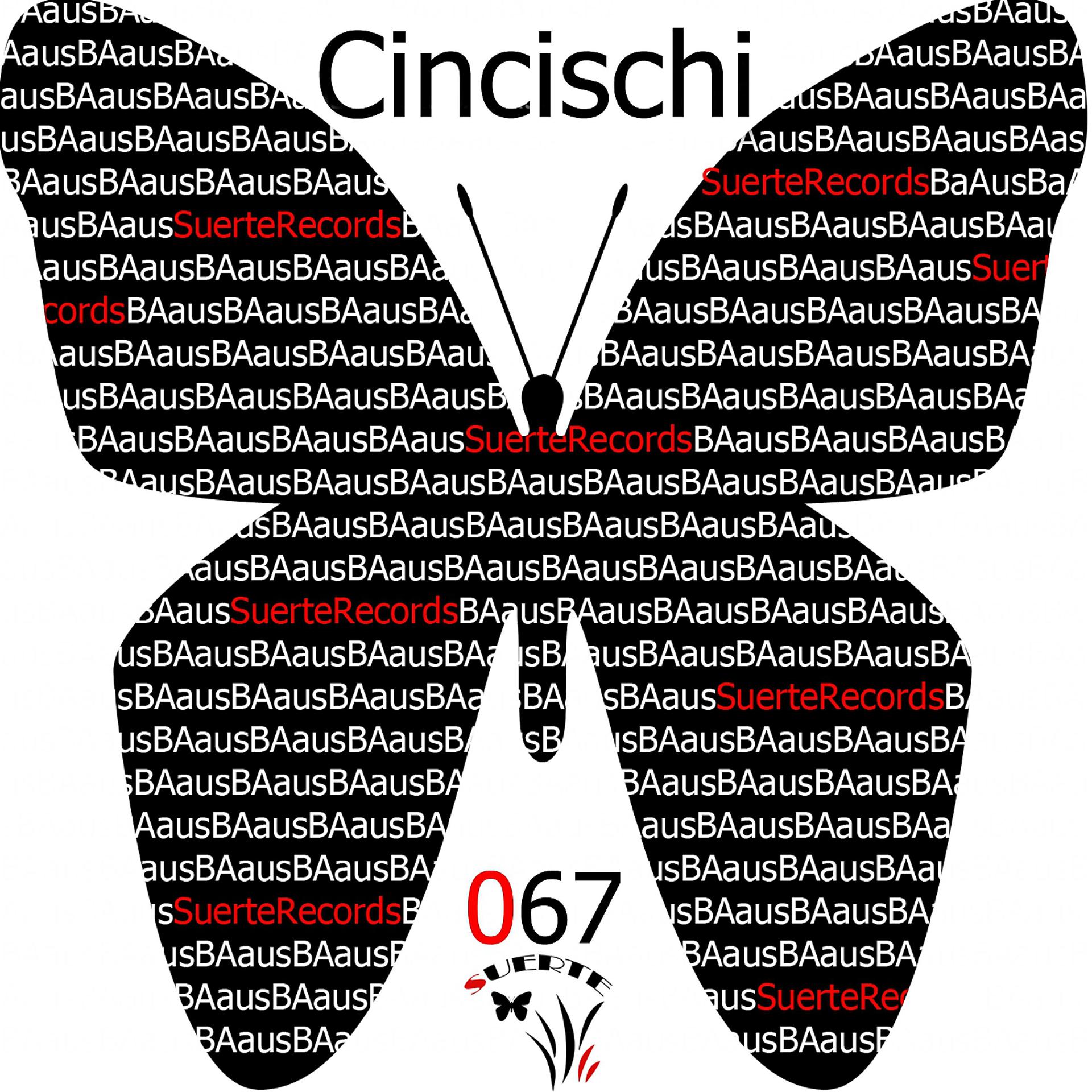 Постер альбома Cincischi