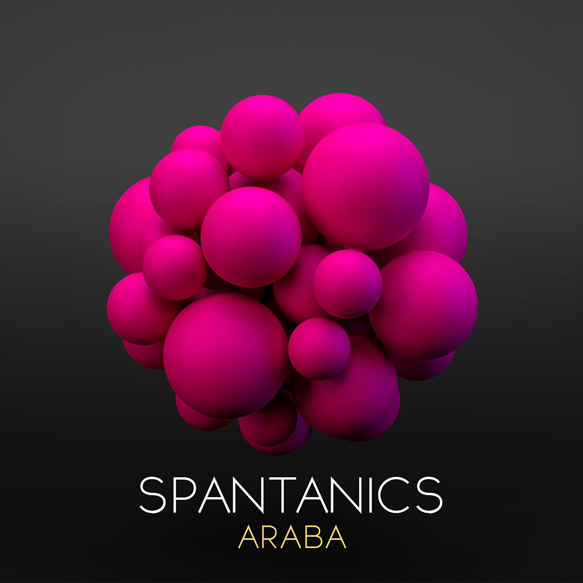 Постер альбома Araba