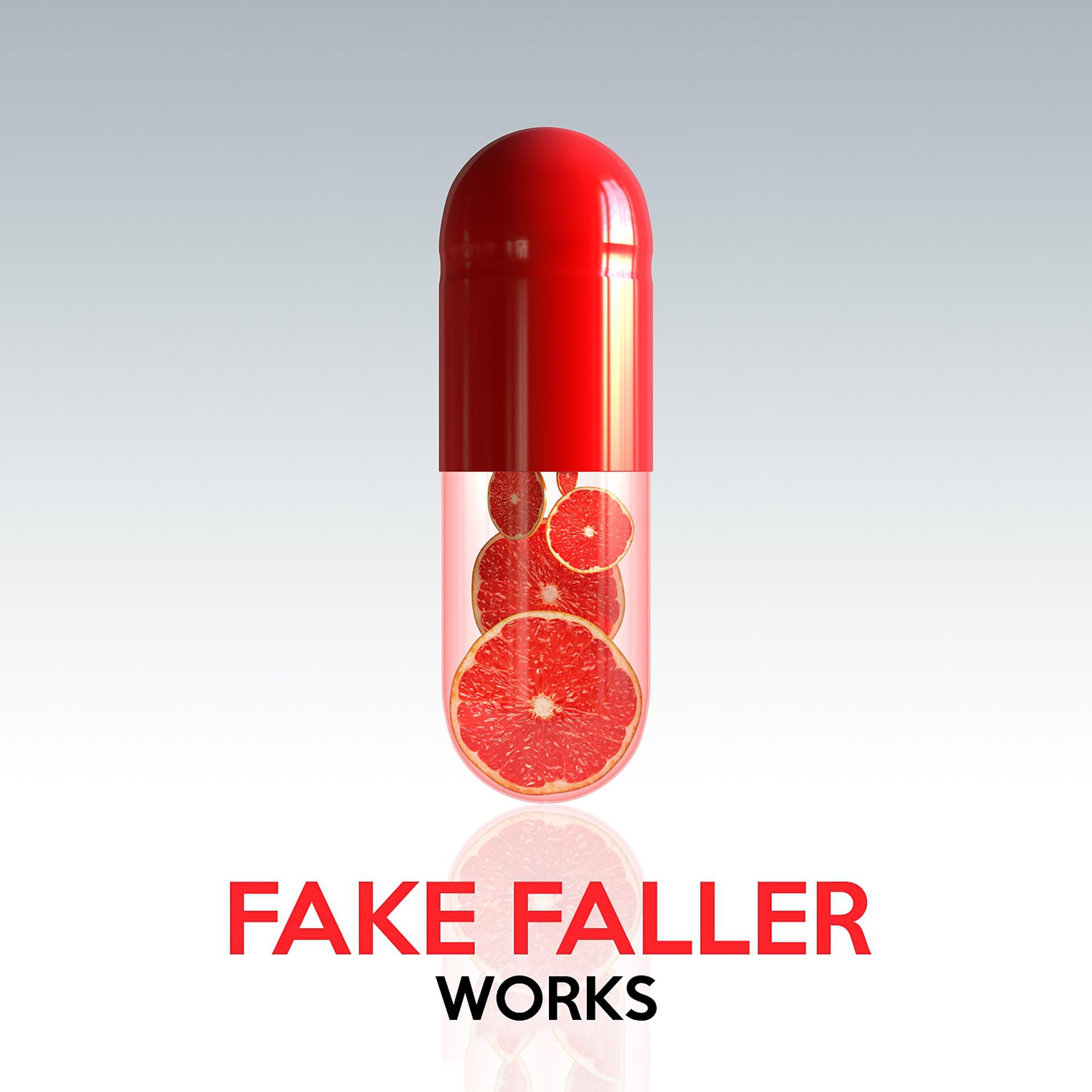 Постер альбома Fake Faller Works