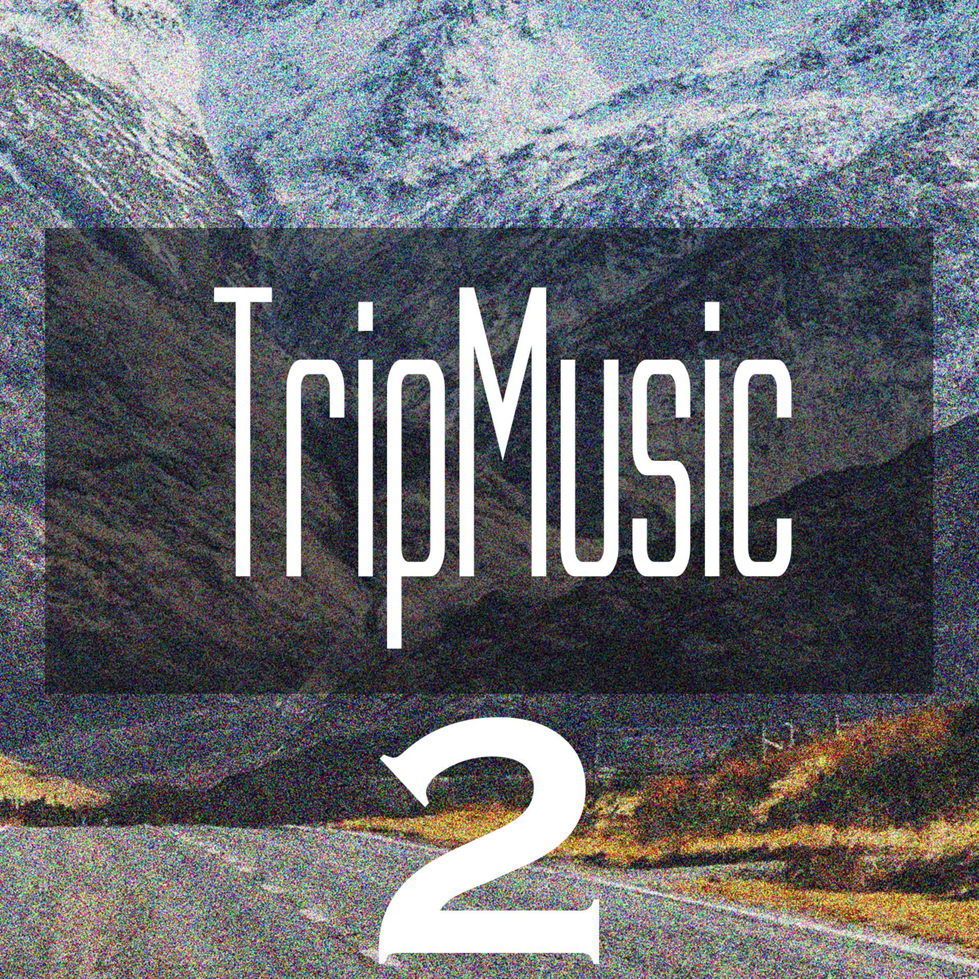 Постер альбома TripMusic 2