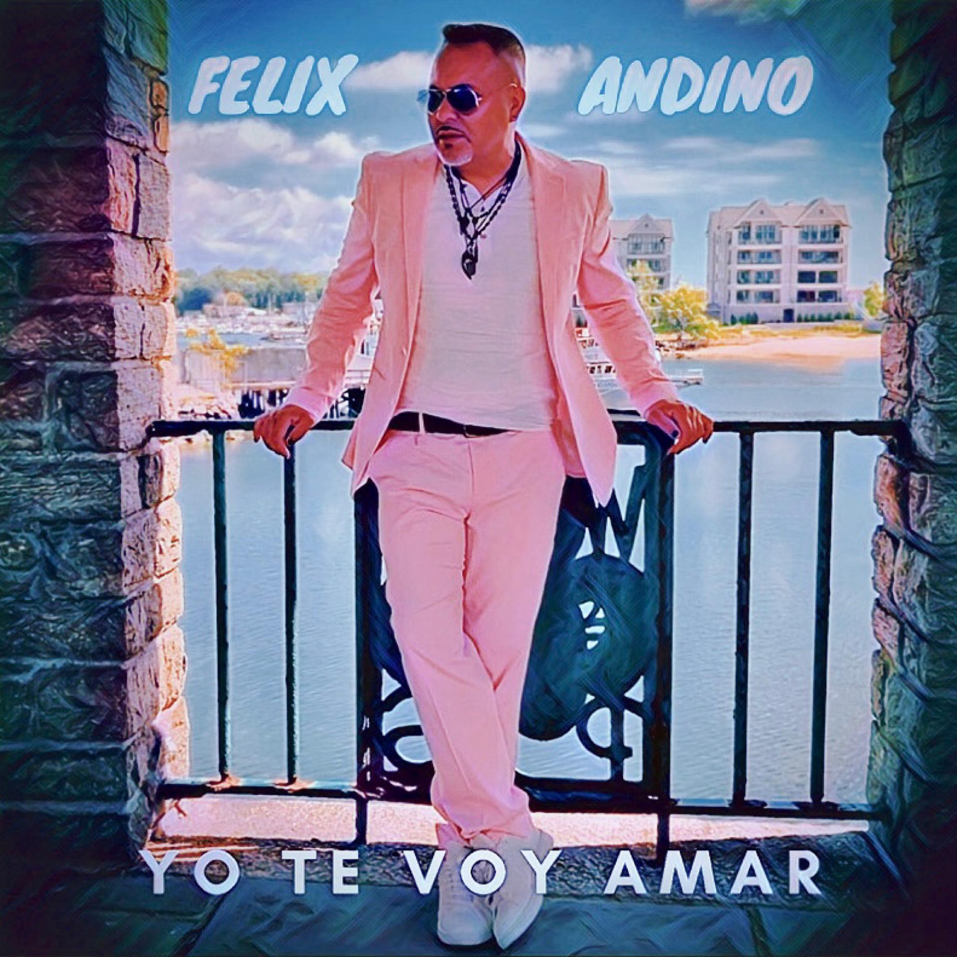 Постер альбома Yo Te Voy Amar