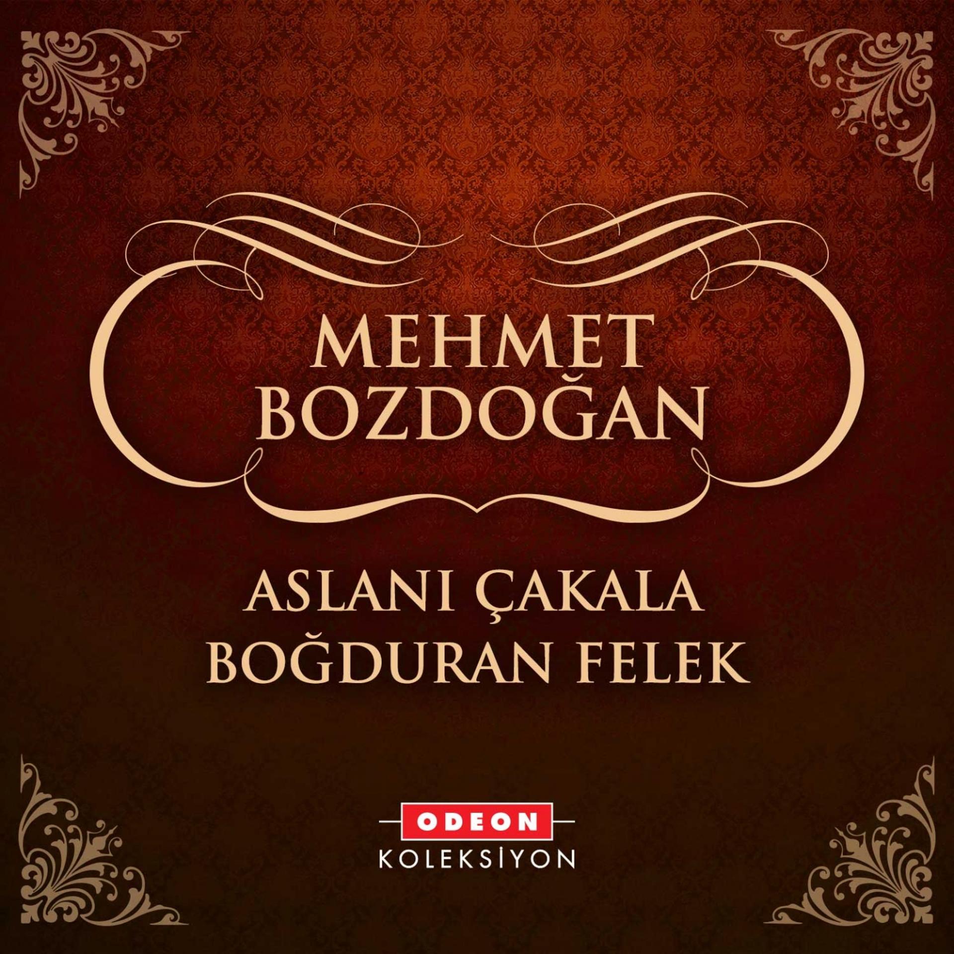 Постер альбома Aslanı Çakala Boğduran Felek