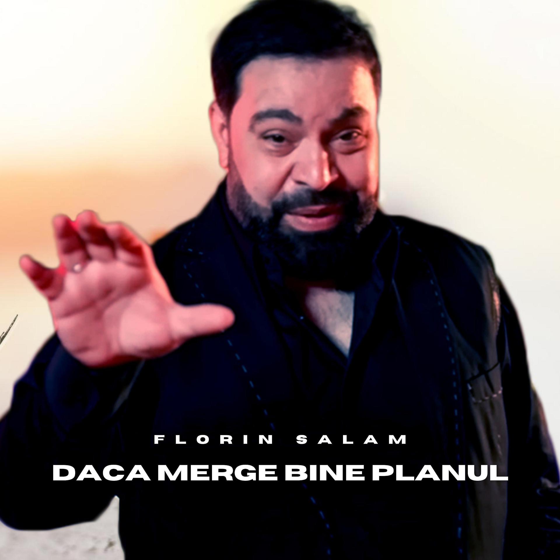 Постер альбома Daca merge bine planul