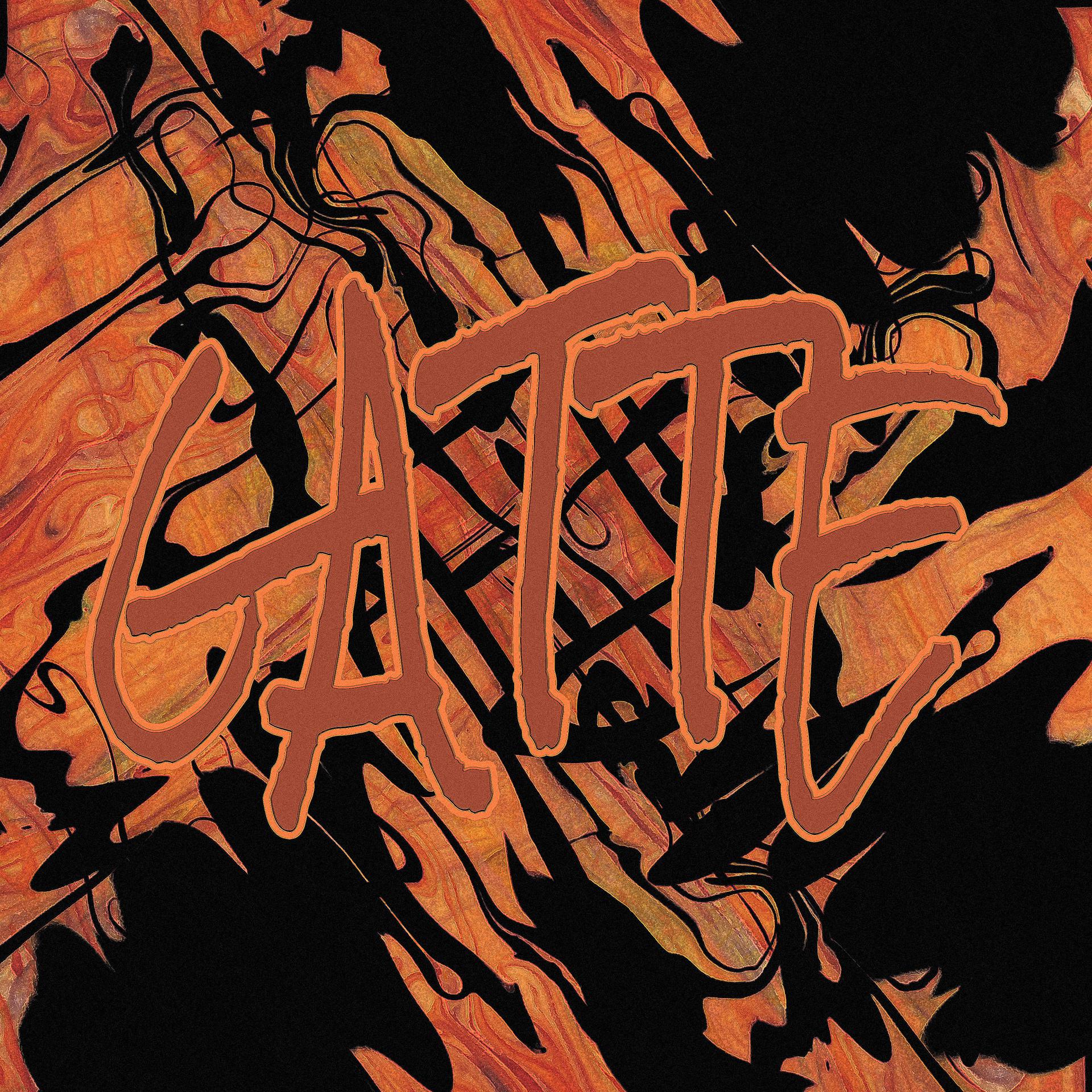 Постер альбома Gatte
