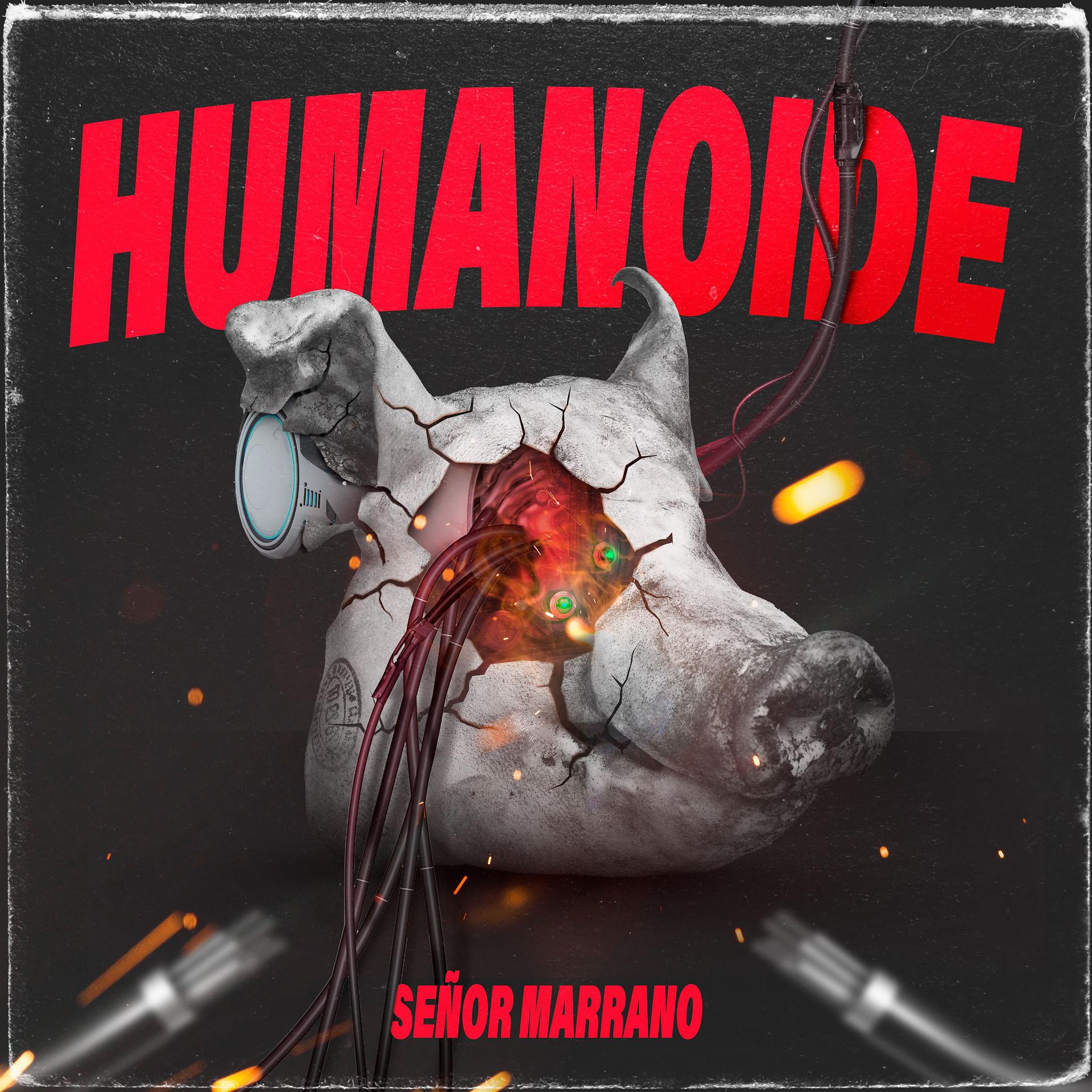 Постер альбома Humanoide