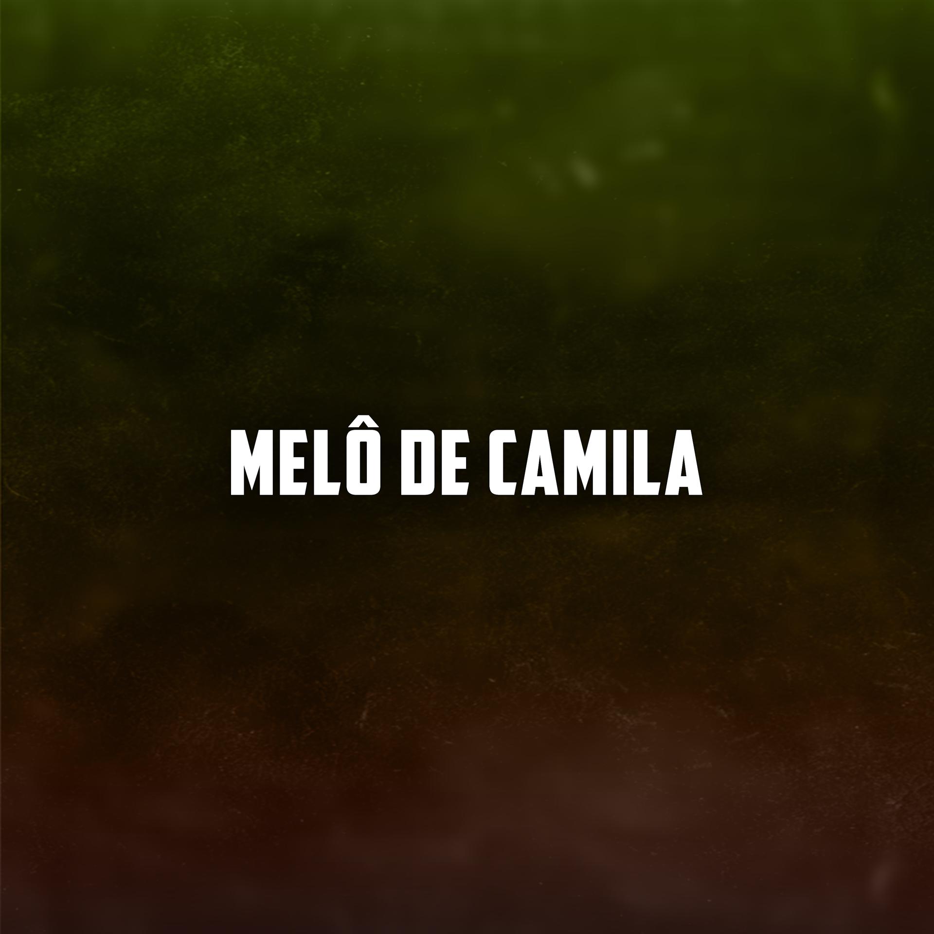 Постер альбома Melô de Camila