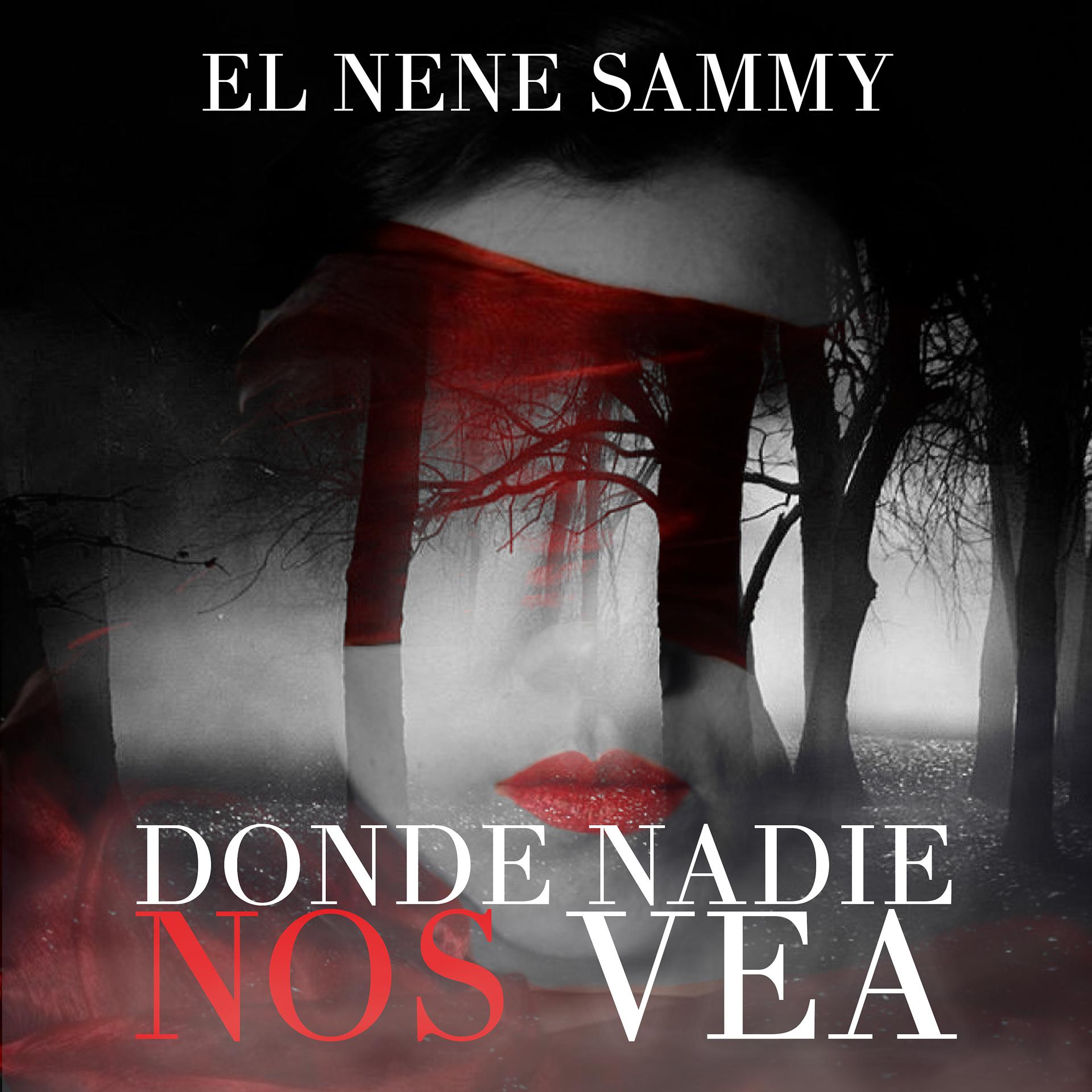 Постер альбома Donde Nadie Nos Vea