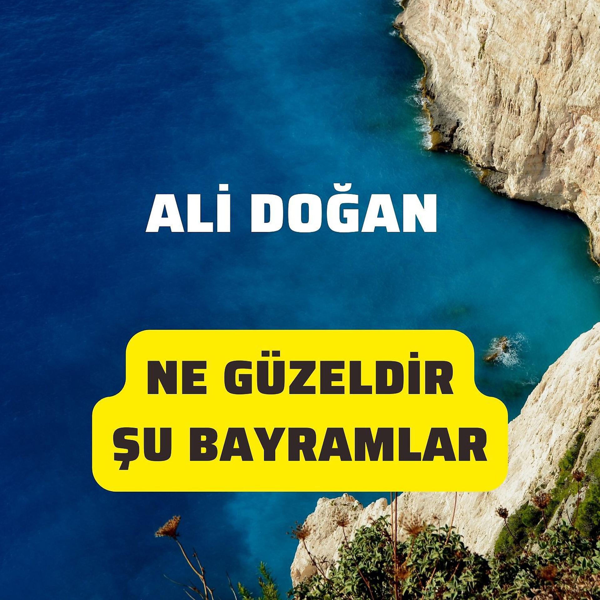 Постер альбома Ne Güzeldir Şu Bayramlar