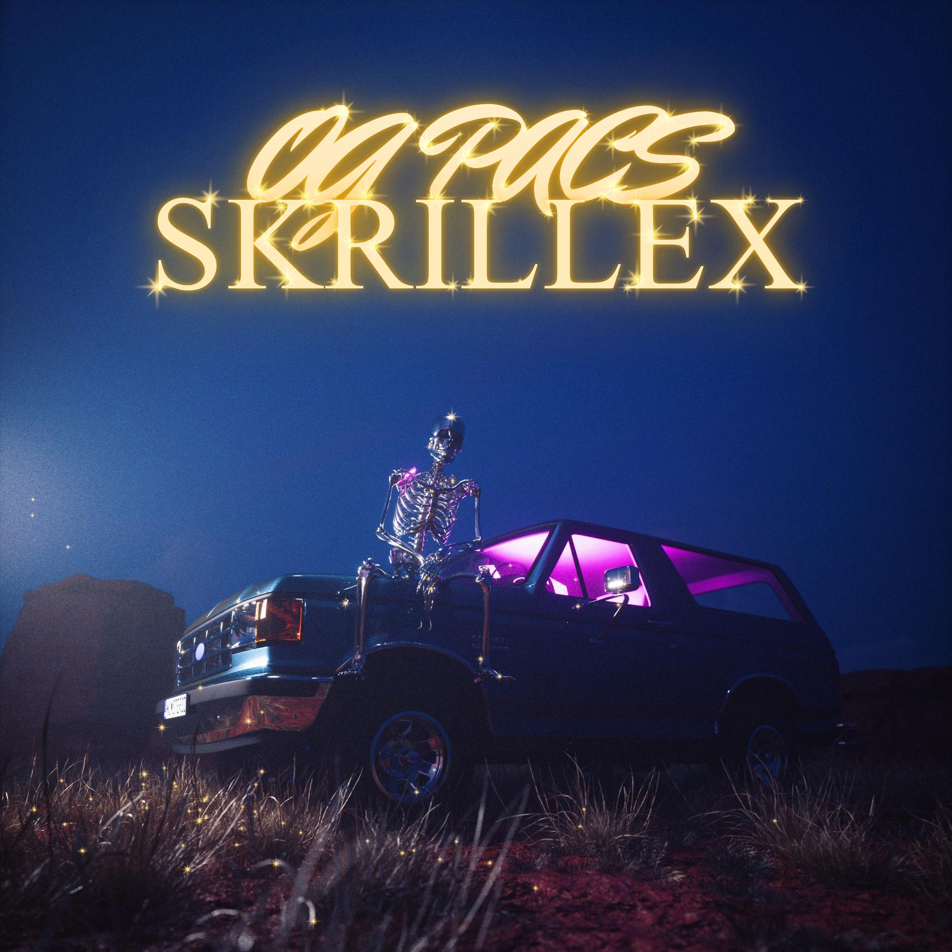 Постер альбома Skrillex