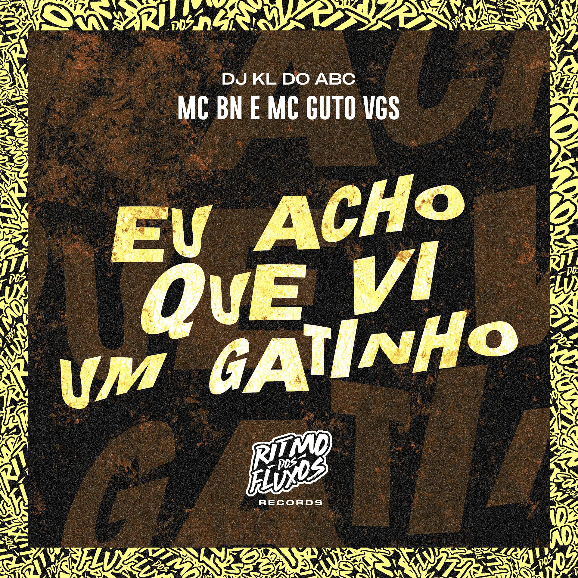 Постер альбома Eu Acho Que Vi um Gatinho